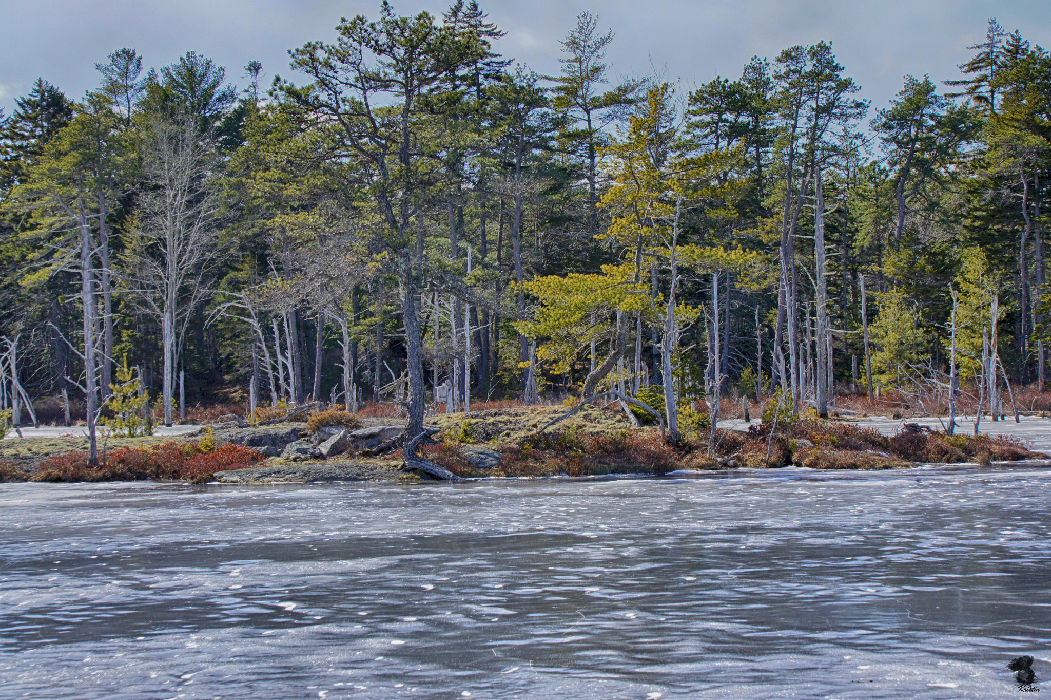 Sony Alpha NEX-3 + Sony E 55-210mm F4.5-6.3 OSS sample photo. Island on moose pond photography