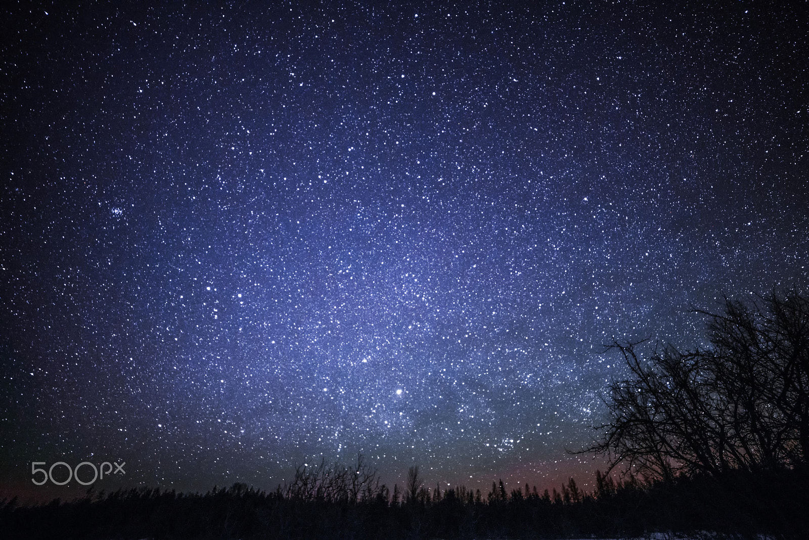 Nikon D800 sample photo. Rural winter landscape at night with trees and stars photography