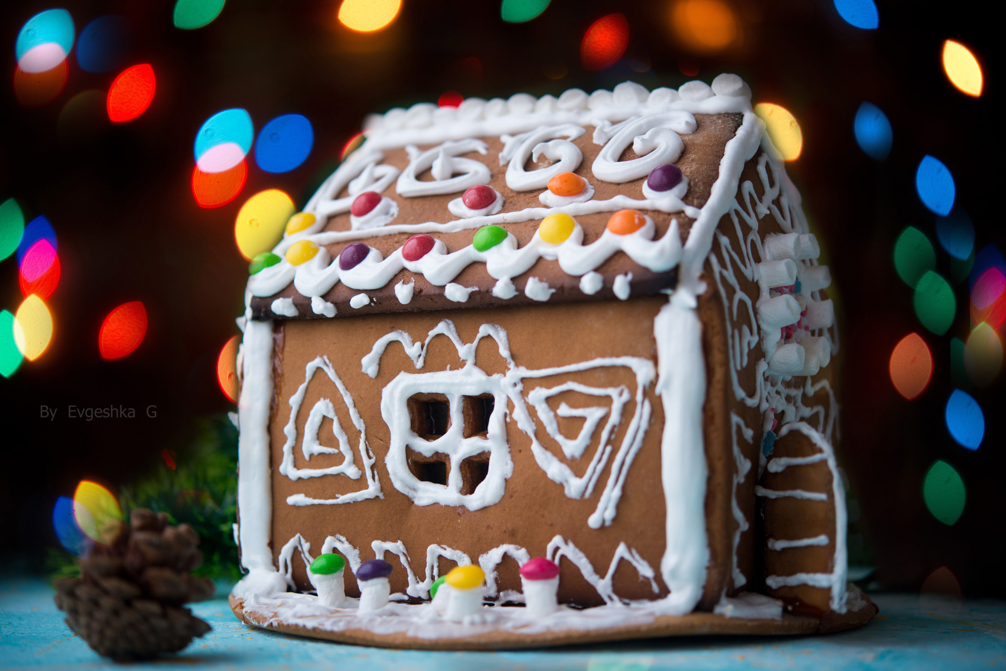 Nikon AF-S Micro-Nikkor 60mm F2.8G ED sample photo. Gingerbread lodge photography