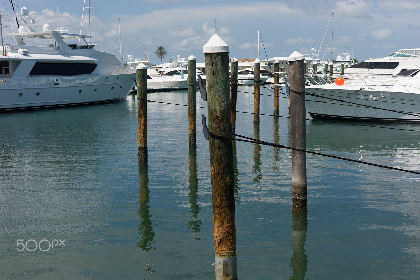 Leica M9 + Summicron-M 50mm f/2 (III) sample photo. Harbour photography