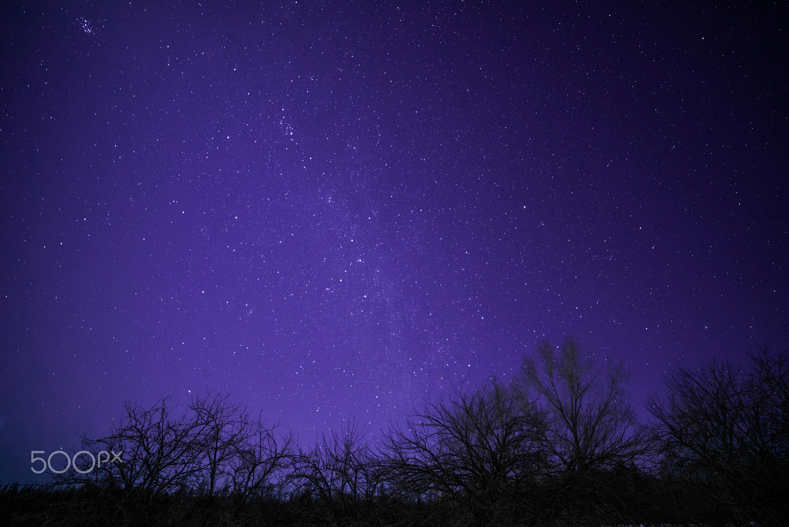 Samyang 14mm F2.8 ED AS IF UMC sample photo. Rural winter landscape at night with trees and stars photography