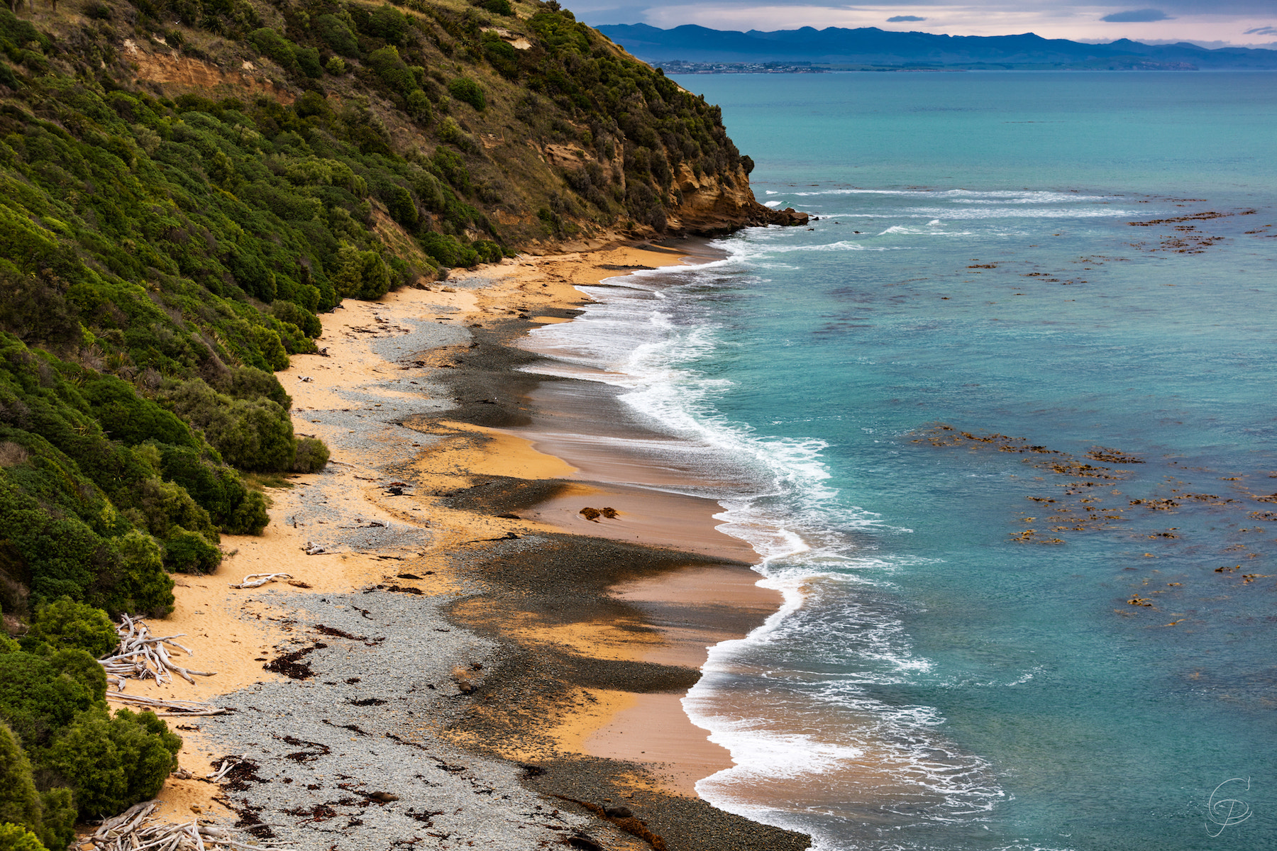Canon EOS 5DS sample photo. Tricolored bushy beach photography