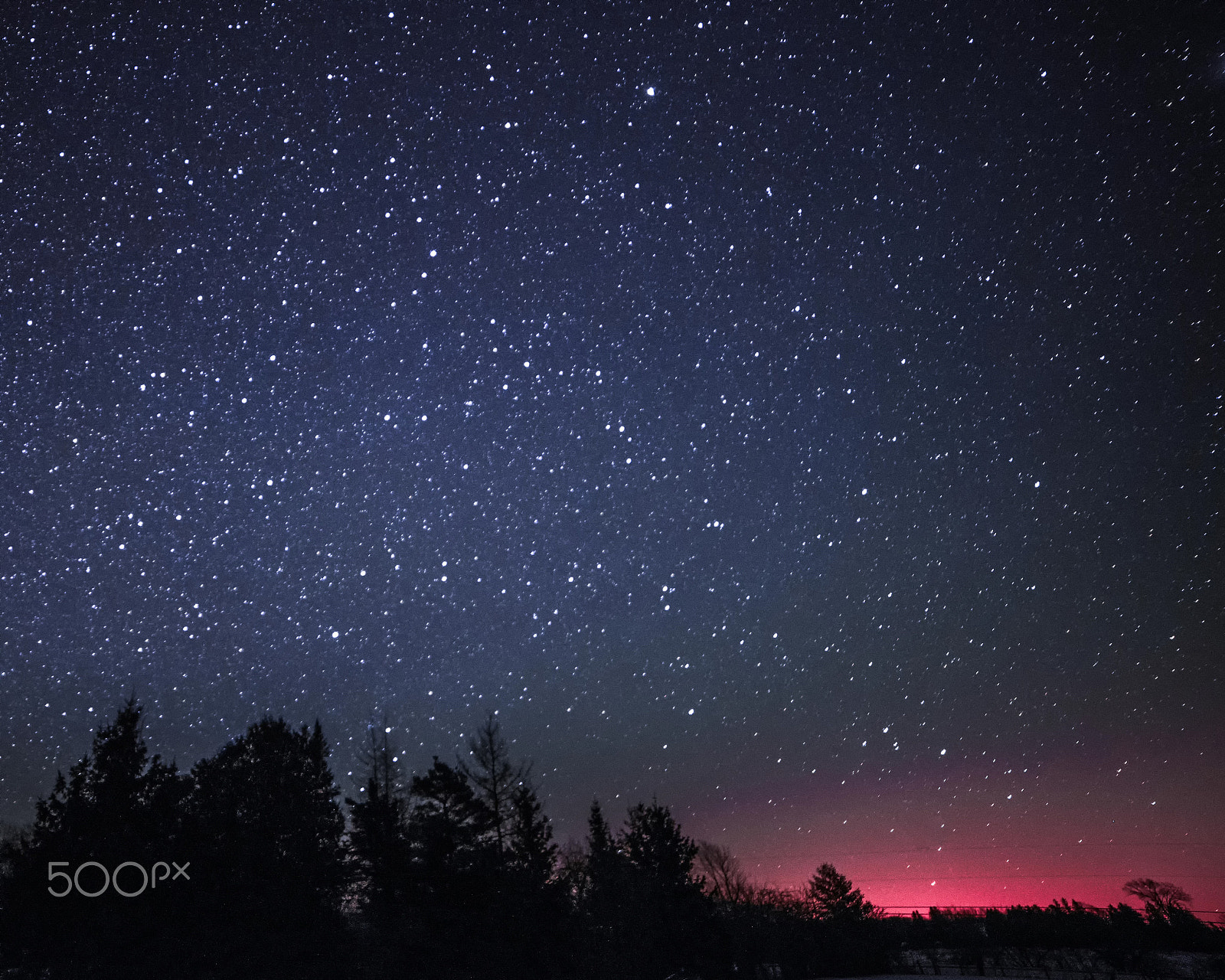 Samyang 14mm F2.8 ED AS IF UMC sample photo. Rural winter landscape at night with trees and stars photography