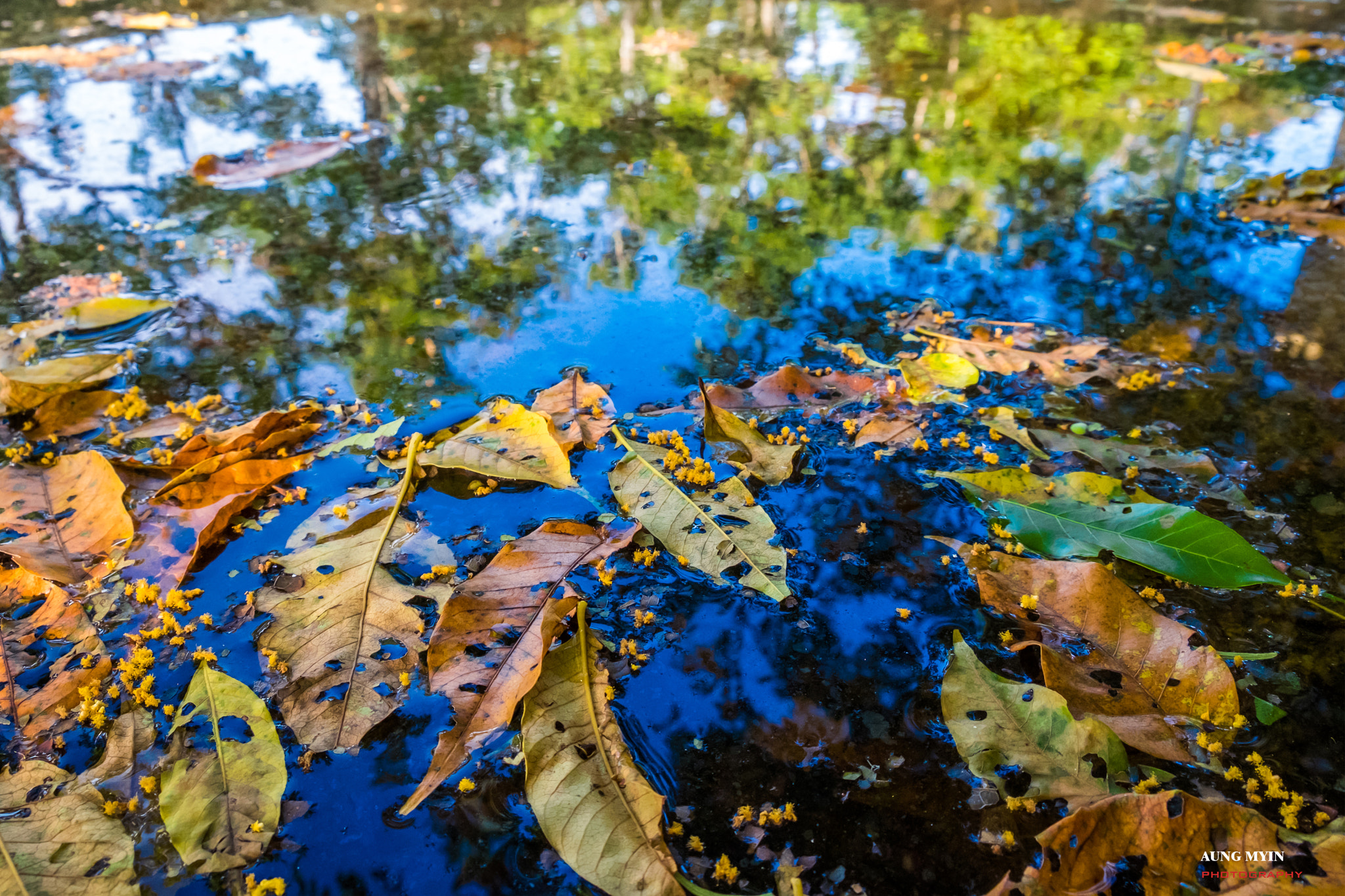 Fujifilm X-E2S + Fujifilm XF 18-55mm F2.8-4 R LM OIS sample photo