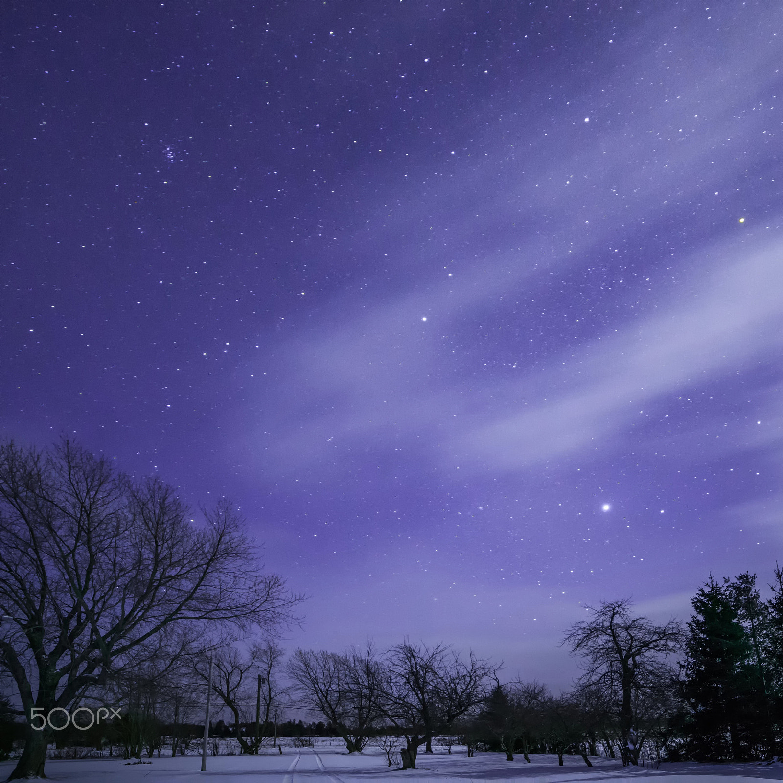 Samyang 14mm F2.8 ED AS IF UMC sample photo. Moonlit stars, trees and track with clouds photography