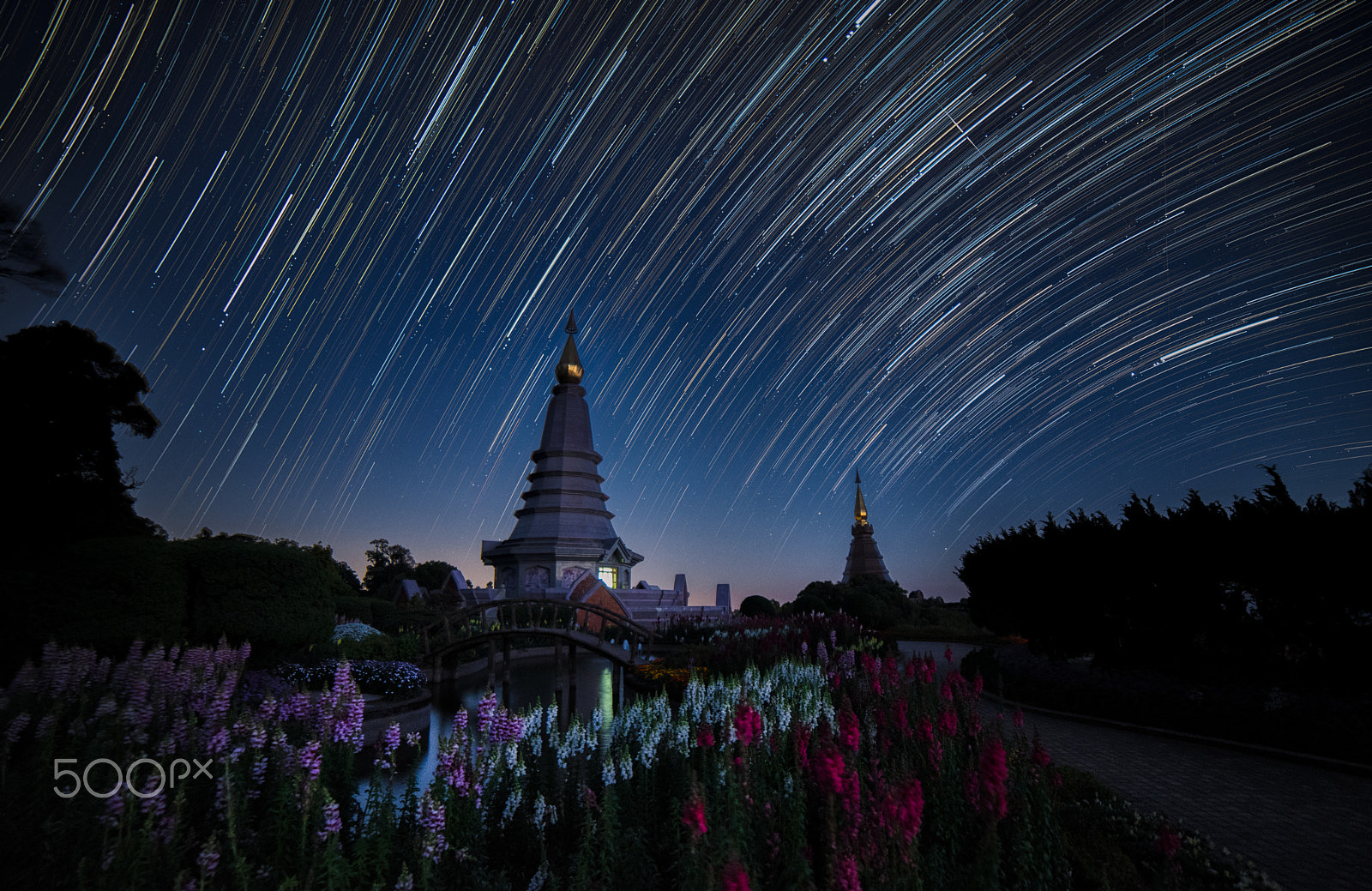 Samyang 14mm F2.8 ED AS IF UMC sample photo. The star photography