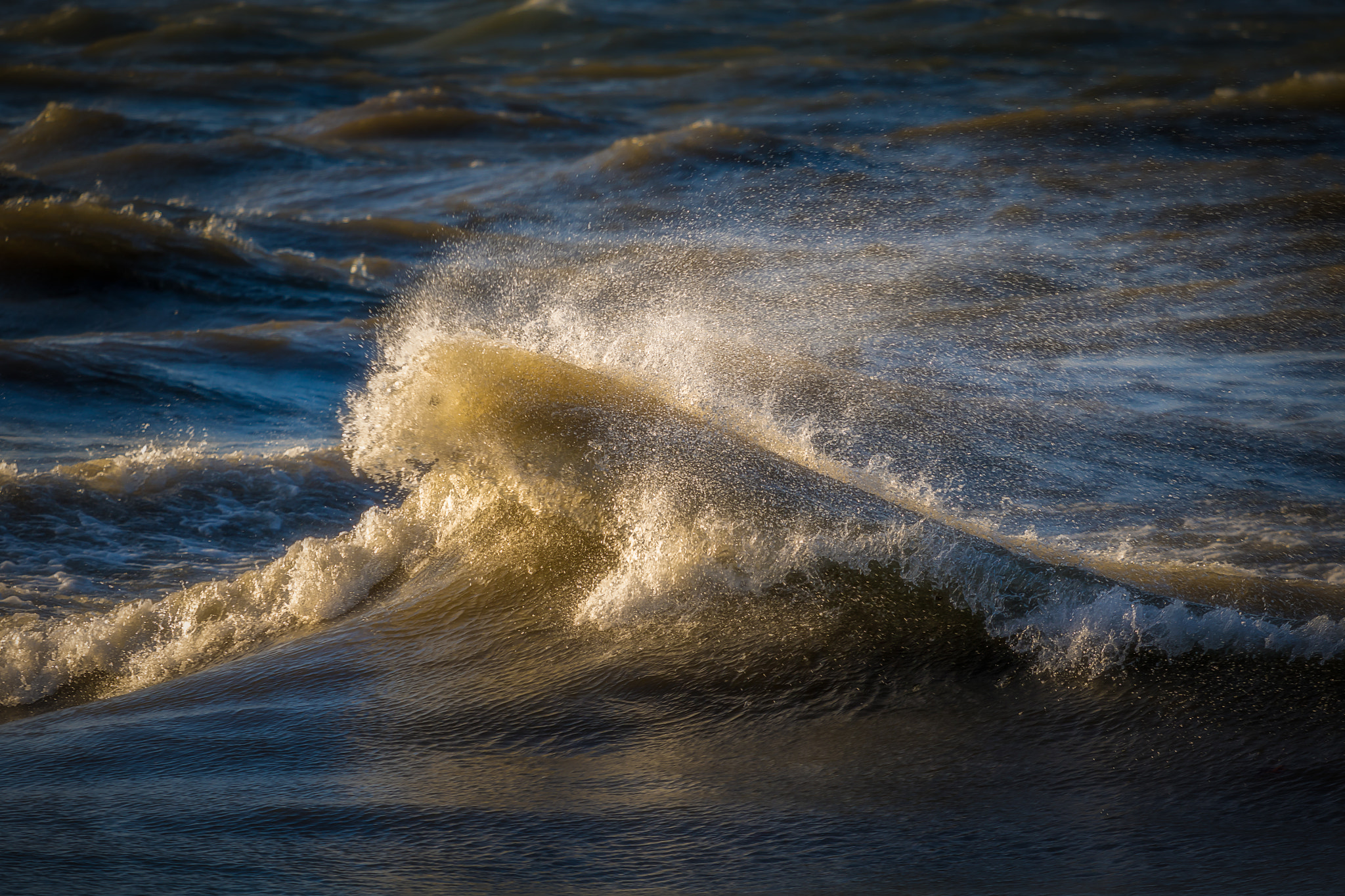 Canon EOS 760D (EOS Rebel T6s / EOS 8000D) + Canon EF 70-200mm F4L USM sample photo. Lake ontario photography