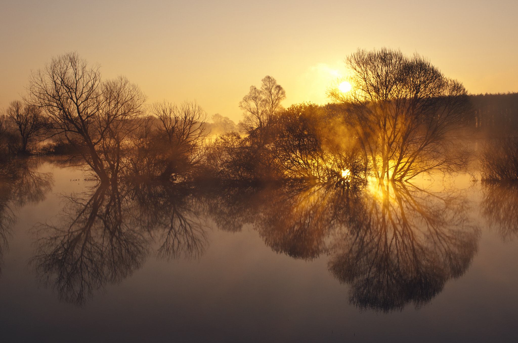 Sigma 18-125mm f/3.5-5.6 DC IF ASP sample photo. Morning mirror photography