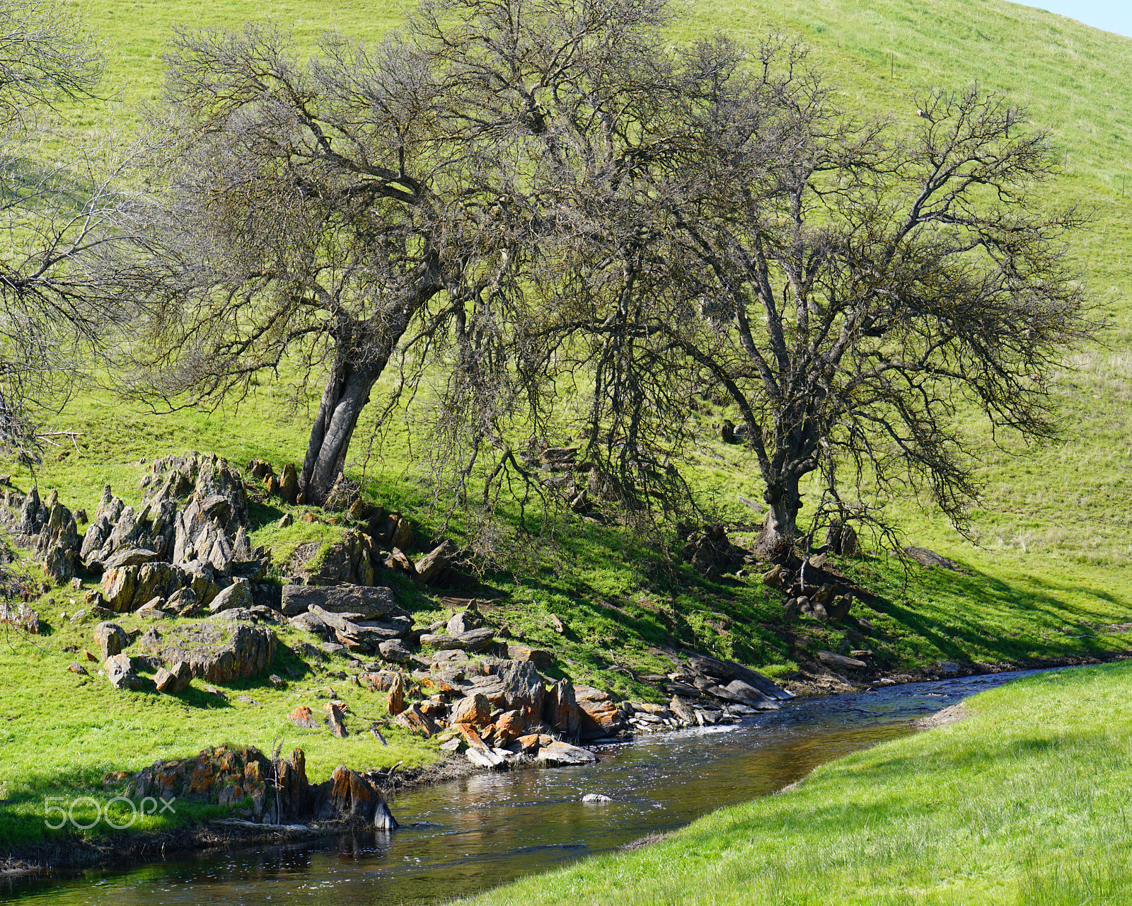 Sony a7R II + ZEISS Batis 85mm F1.8 sample photo. Creek near millerton lake photography