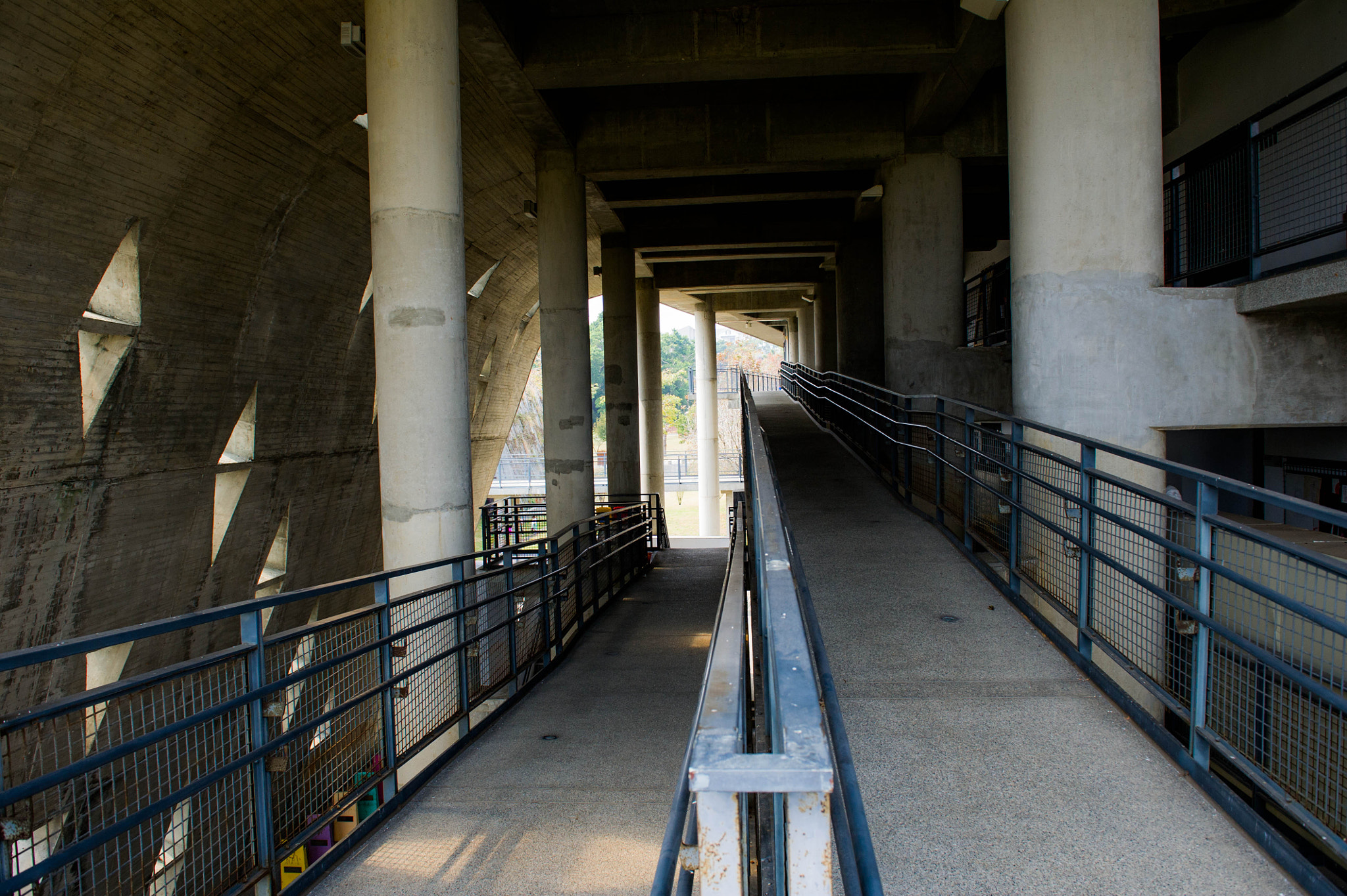 Nikon D3S sample photo