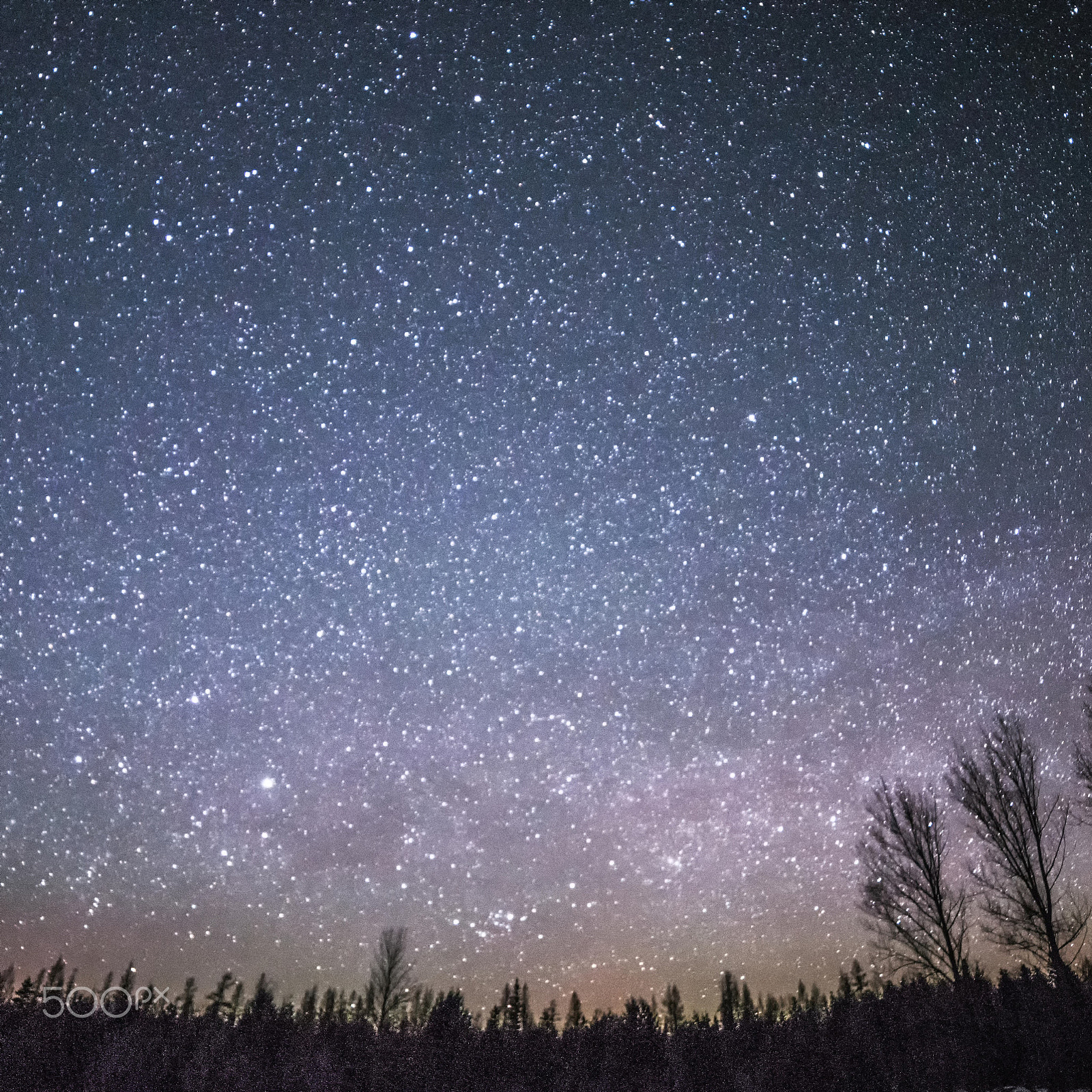 Samyang 14mm F2.8 ED AS IF UMC sample photo. Rural winter landscape at night with trees and stars photography