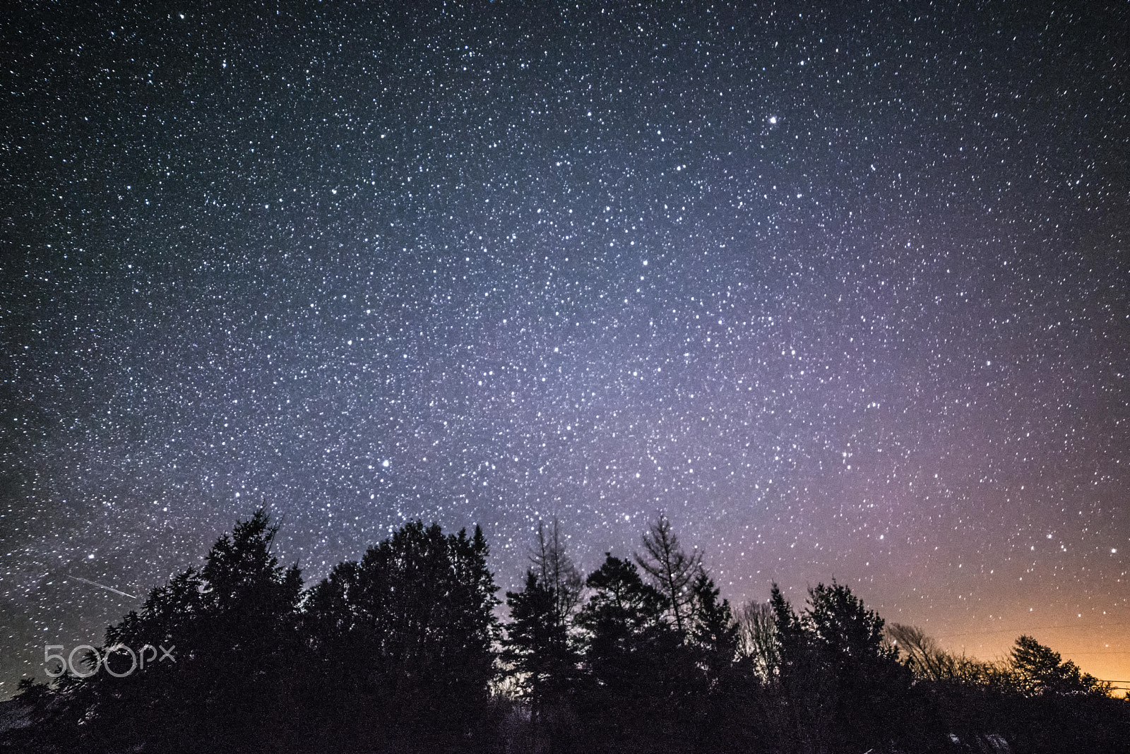 Samyang 14mm F2.8 ED AS IF UMC sample photo. Rural winter landscape at night with trees and stars photography