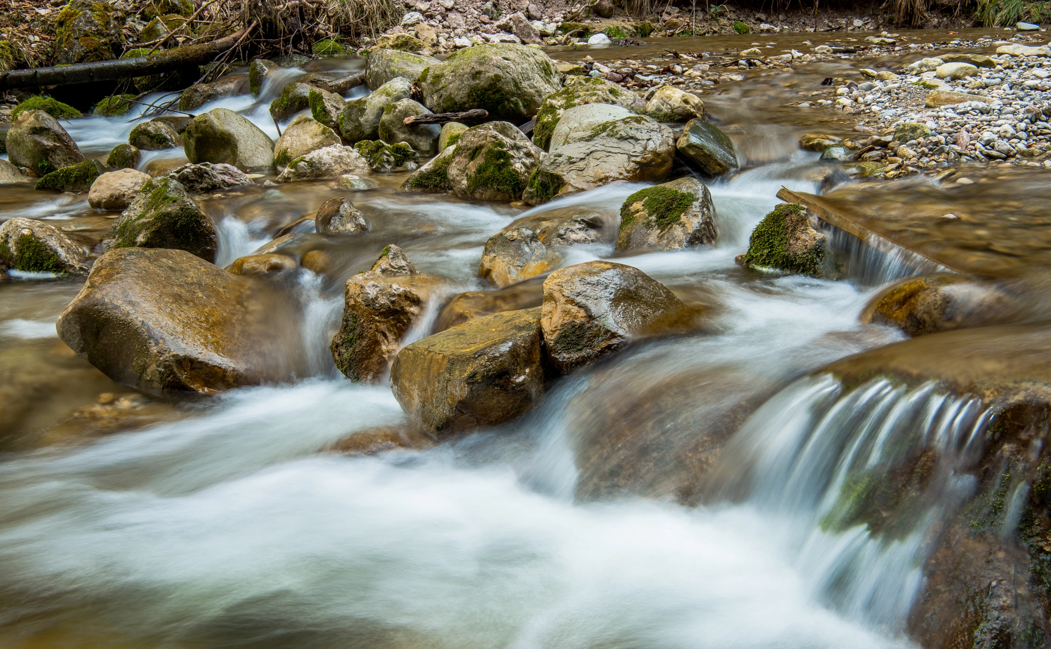 Nikon AF-S Nikkor 24-70mm F2.8E ED VR sample photo. Lauf der natur photography
