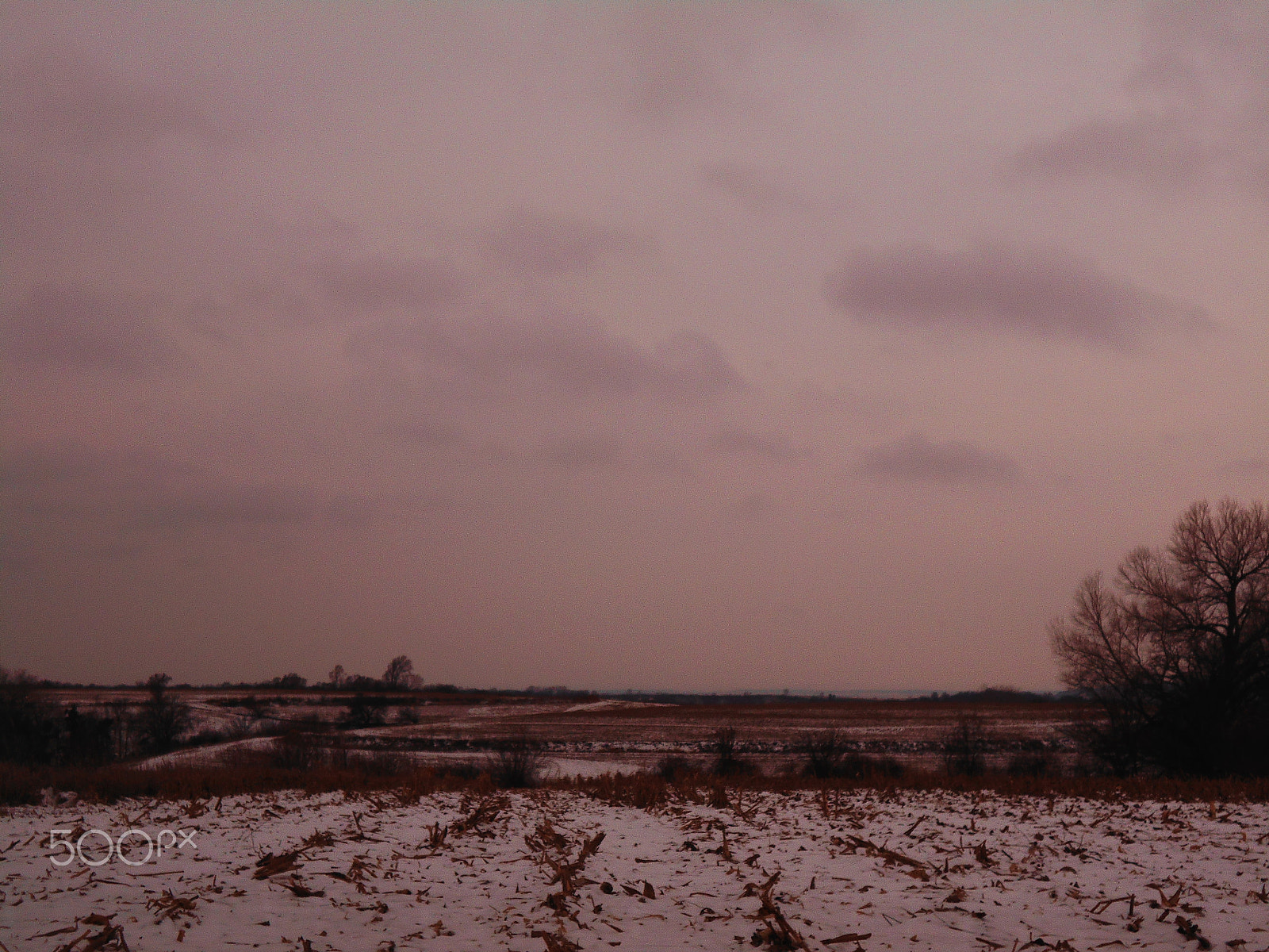 Nikon Coolpix L32 sample photo. Winter farmland in iowa photography