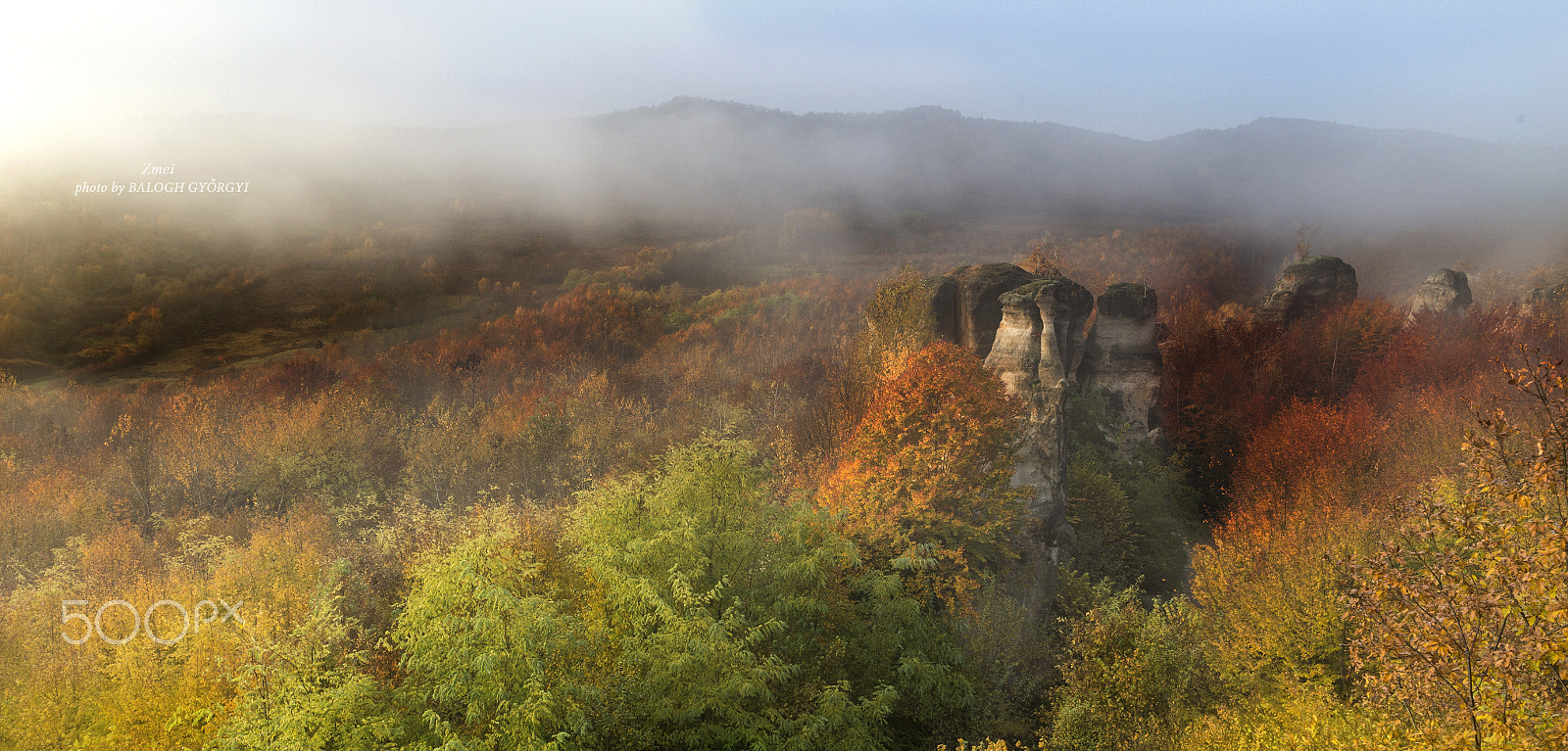 Canon EOS 6D sample photo. Dragons' garden photography