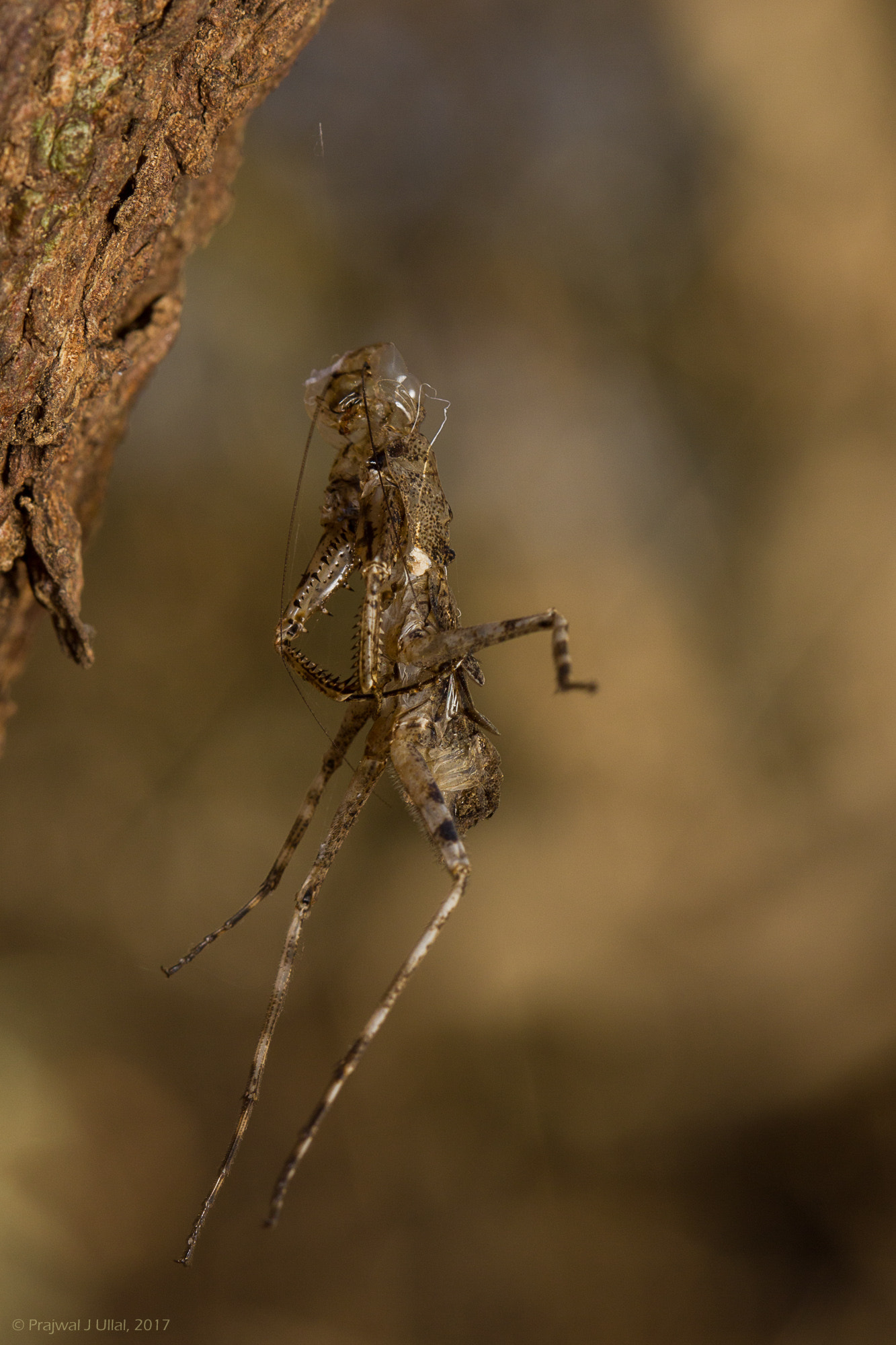 Canon EF 100mm F2.8 Macro USM sample photo. The past photography