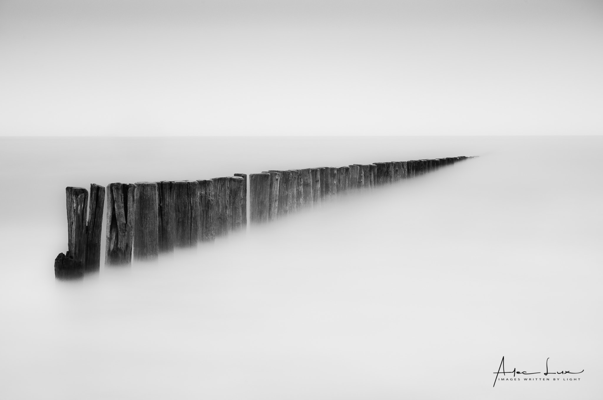 Nikon AF-S Nikkor 24-70mm F2.8G ED sample photo. Follow me too photography