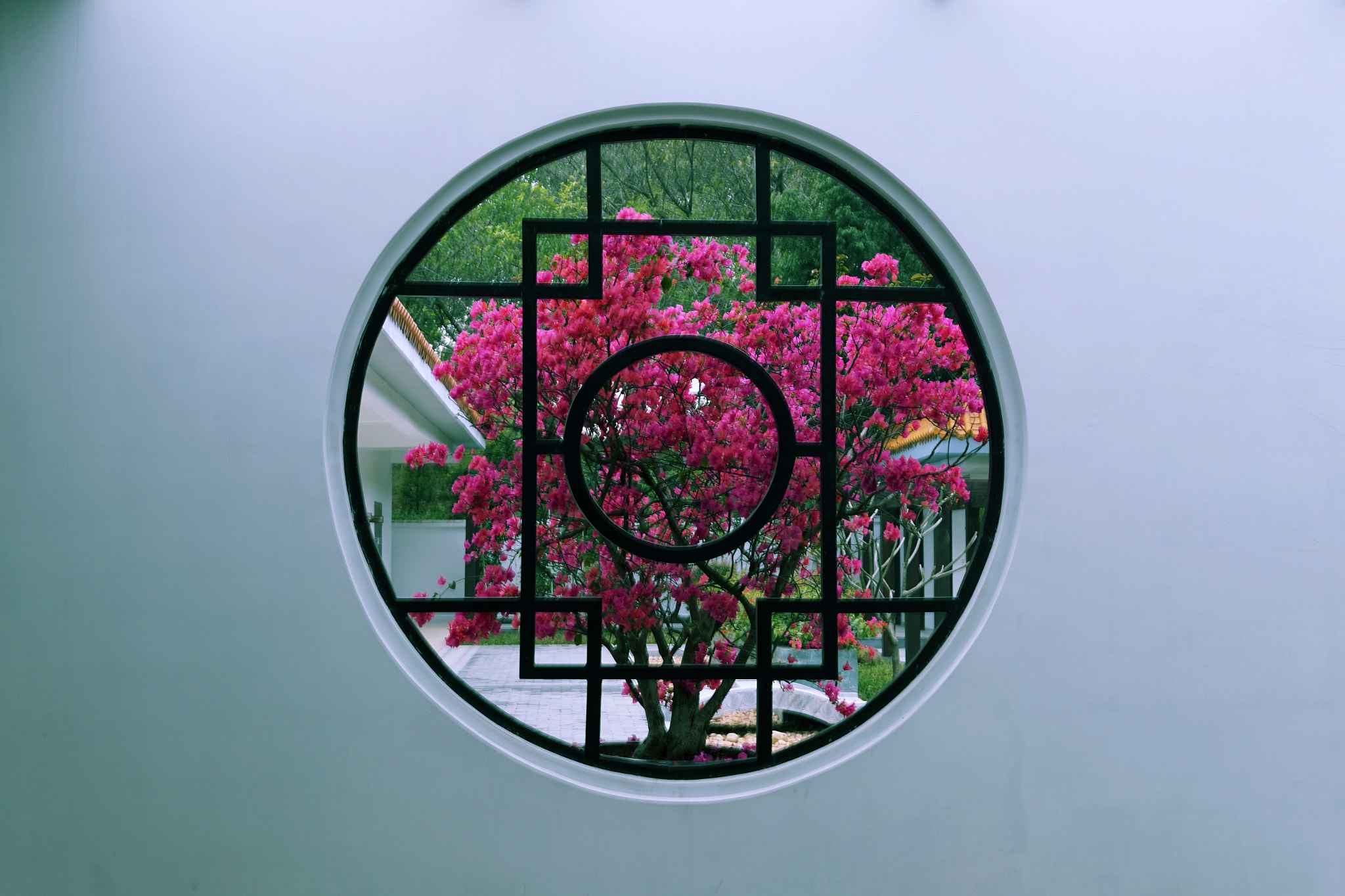 Sigma 30mm F1.4 DC DN | C sample photo