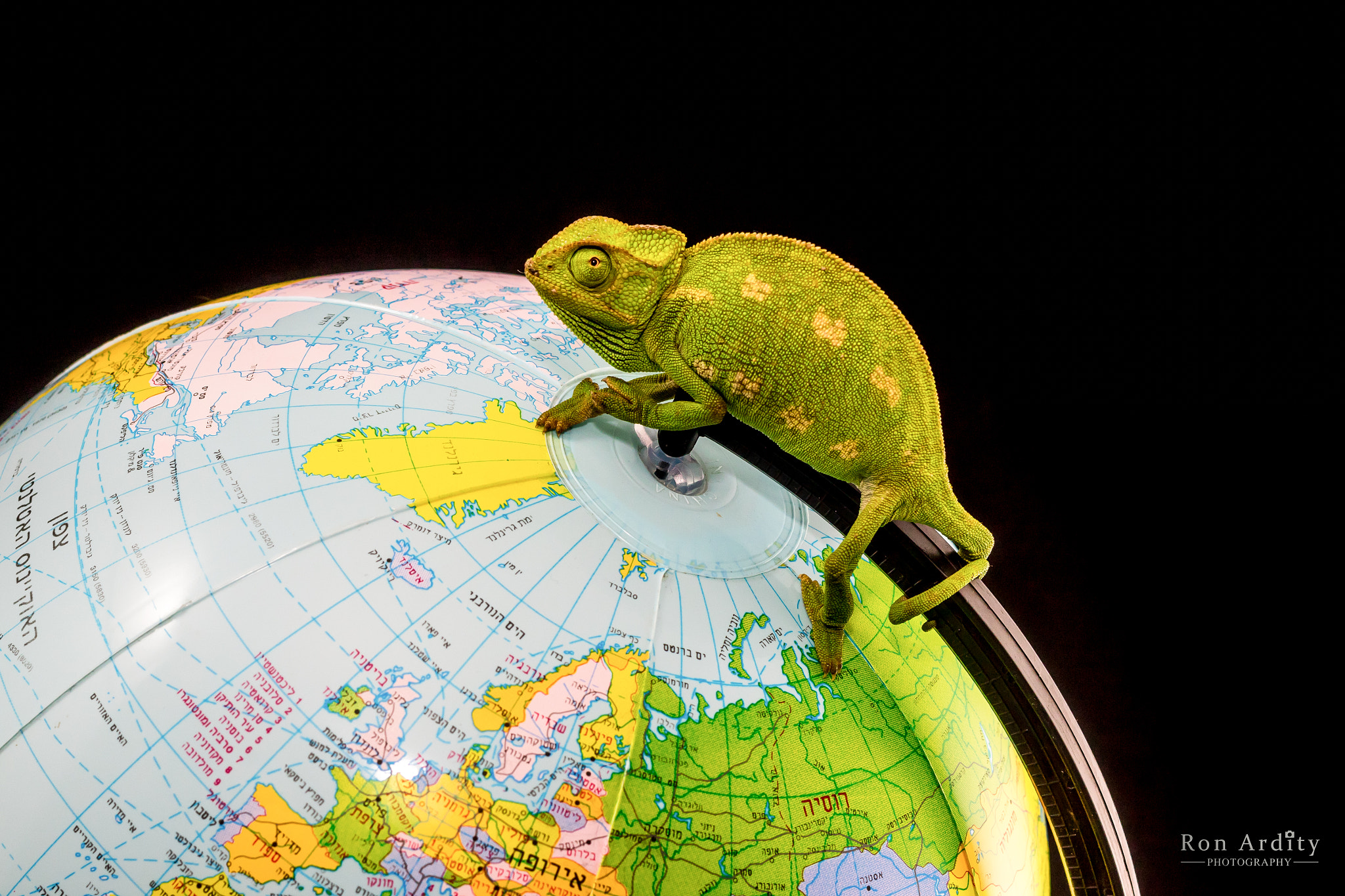 Canon EF 50mm F1.8 II sample photo. On the top of the globe photography