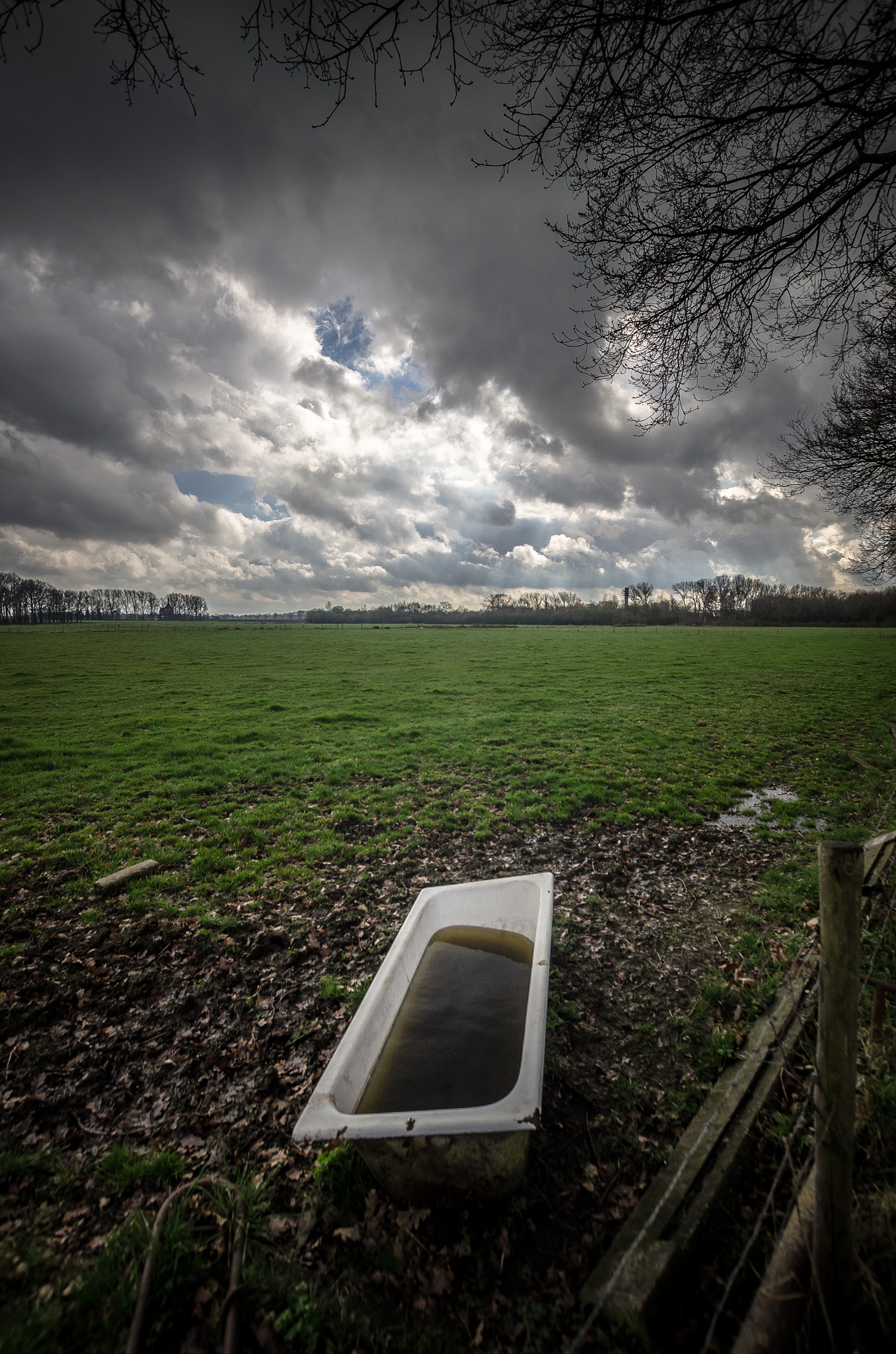 Nikon D7000 + Sigma 10-20mm F3.5 EX DC HSM sample photo. Time for bath?! photography