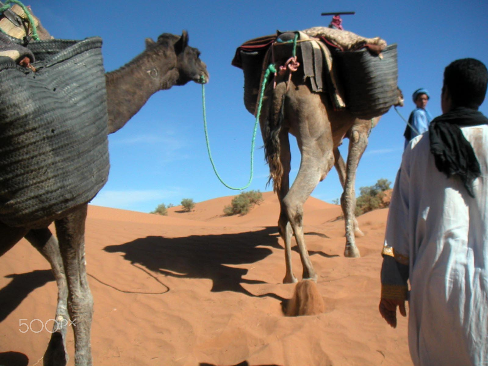 KONICA MINOLTA DiMAGE X sample photo. Deep desert photography