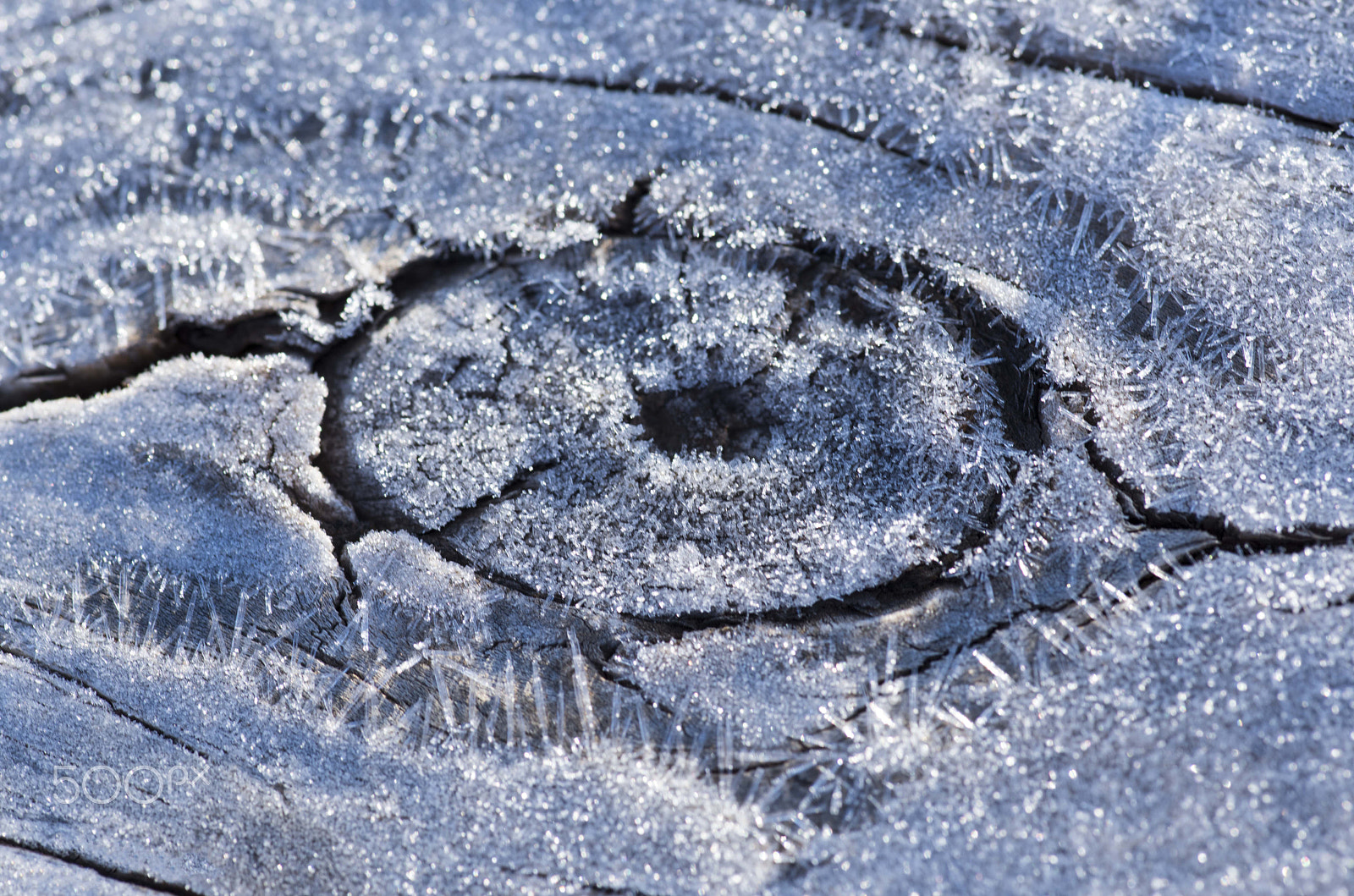 Nikon D810 + Tokina AT-X Pro 100mm F2.8 Macro sample photo. Frost on weathered wood photography