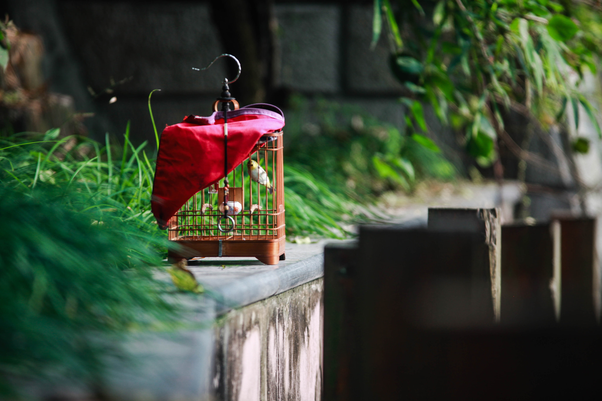 Sigma 70-200mm F2.8 EX DG OS HSM sample photo