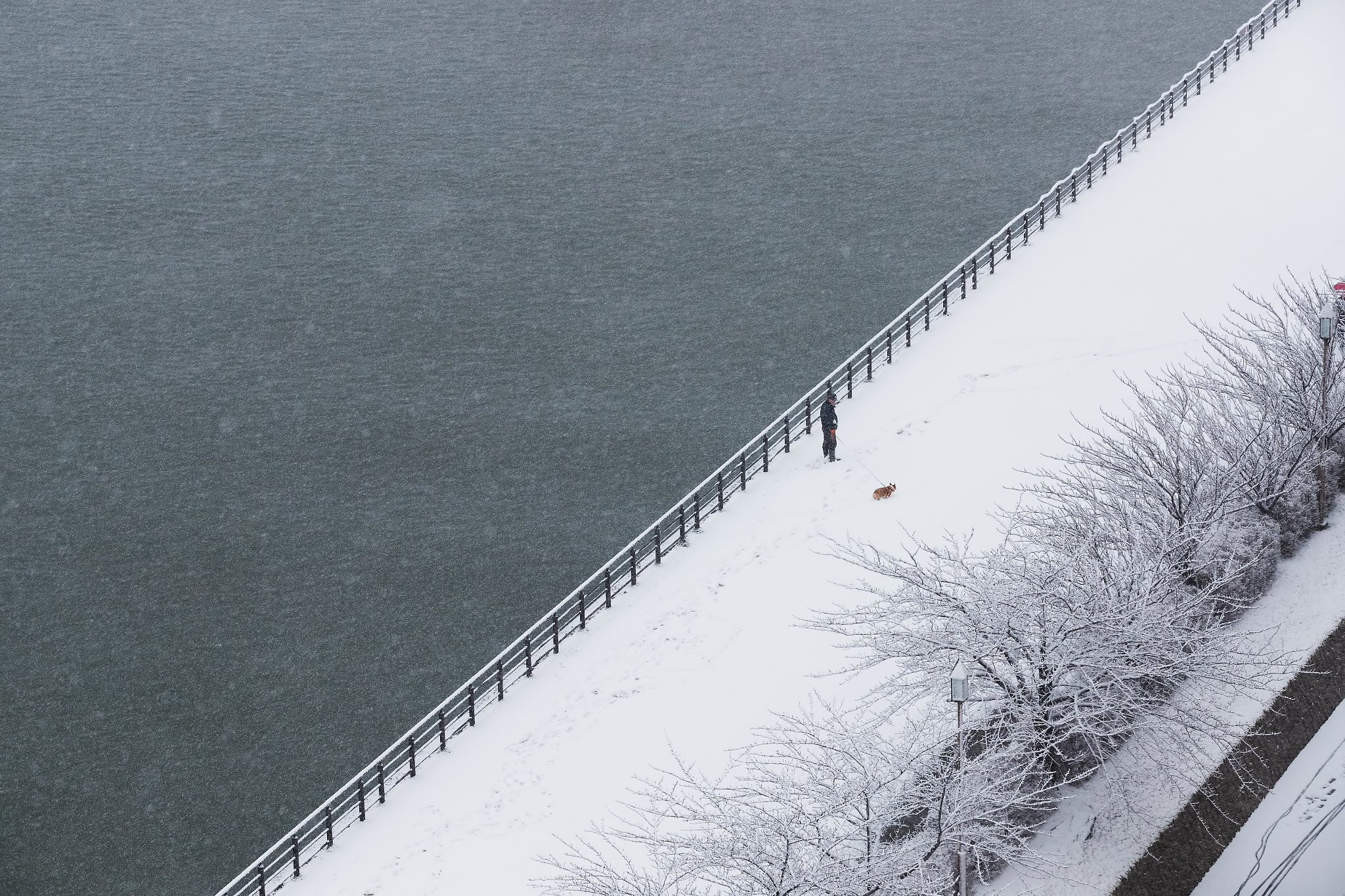 Canon EOS-1D X Mark II sample photo. Snow and river photography