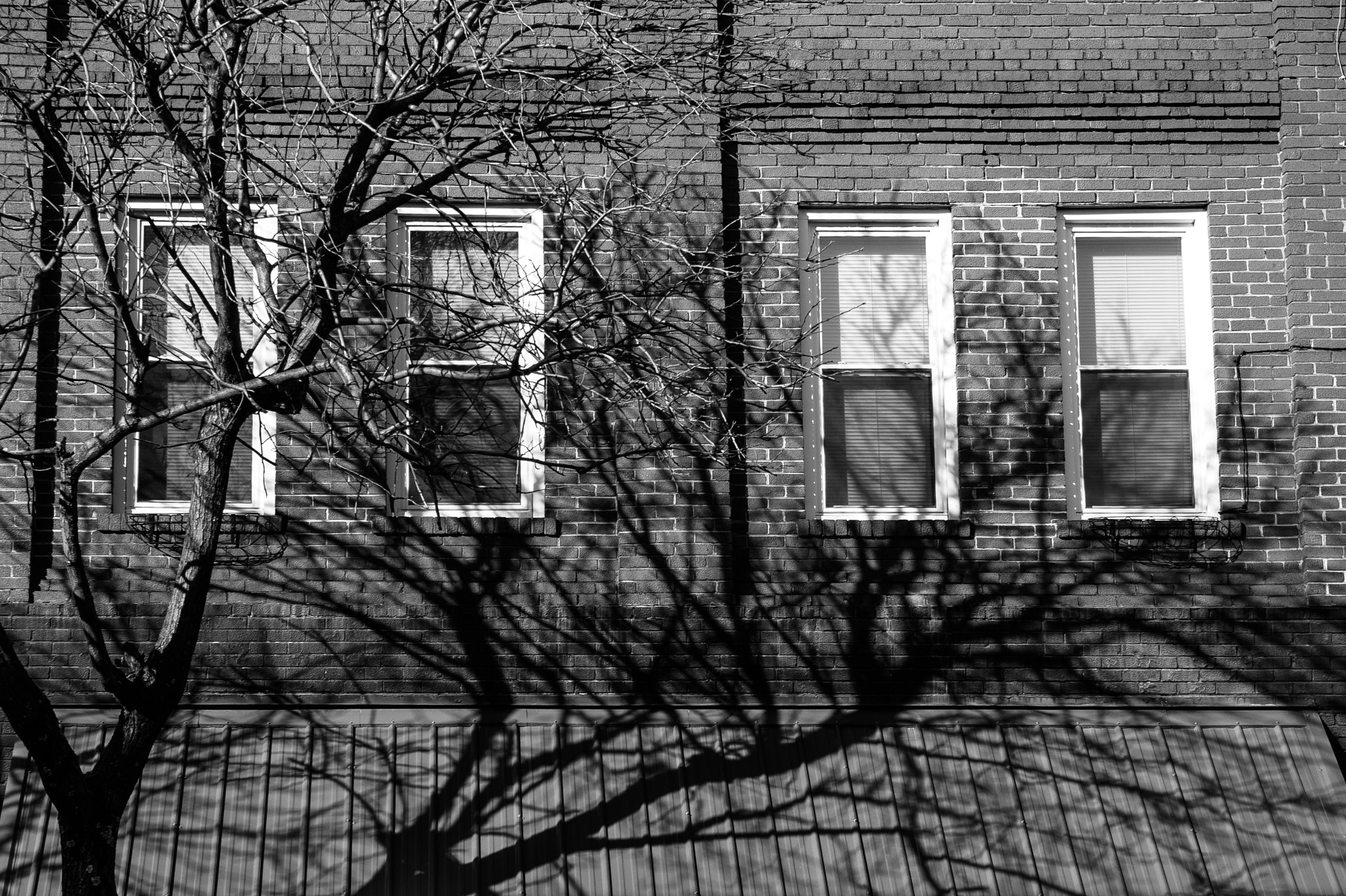 Pentax K10D sample photo. Morning shadows photography