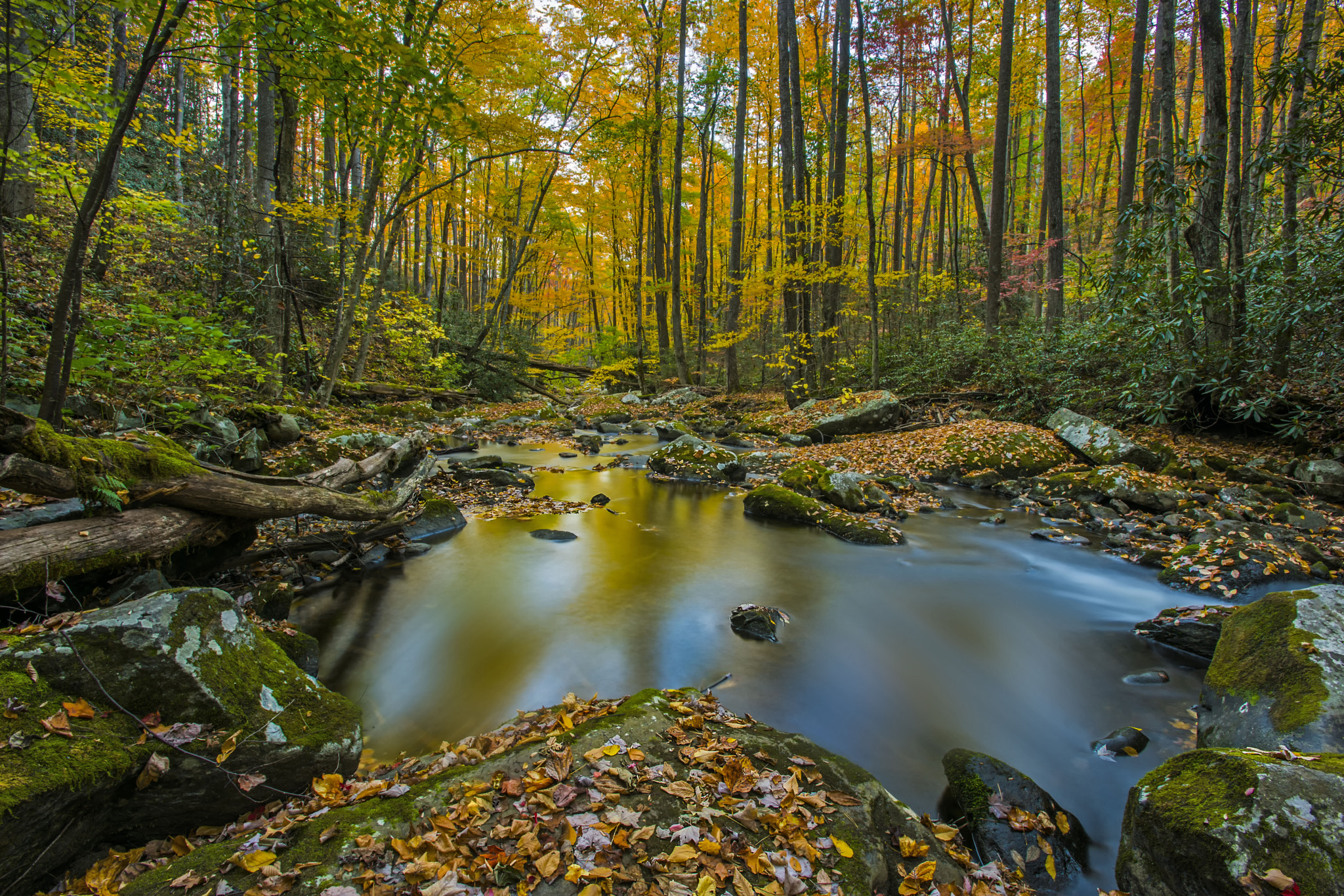 Nikon D810 + Nikon AF-S Nikkor 17-35mm F2.8D ED-IF sample photo. Autumn reflection 2 photography