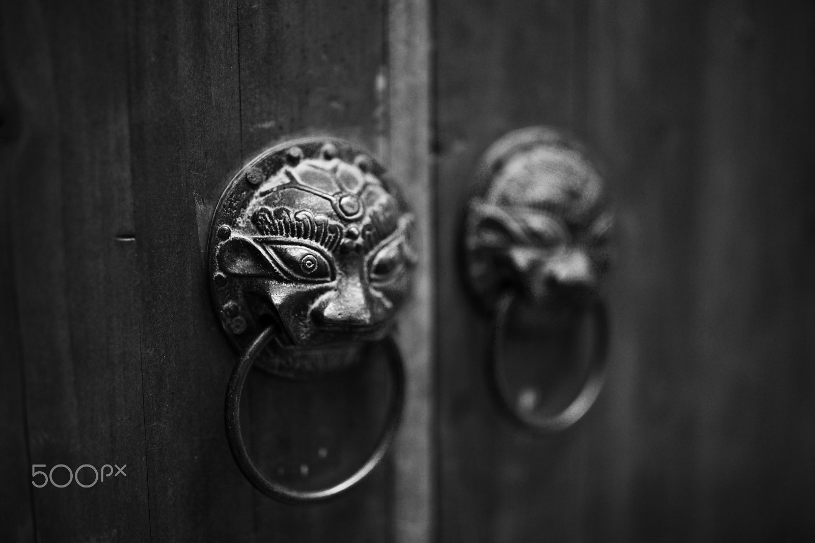 Canon EF 35mm F1.4L II USM sample photo. 靜物筆記 photography