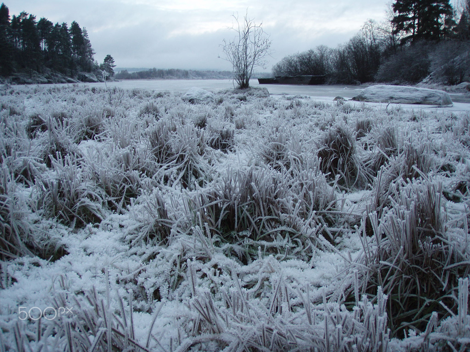 Olympus u720SW,S720SW sample photo. Frost on Øyeren photography