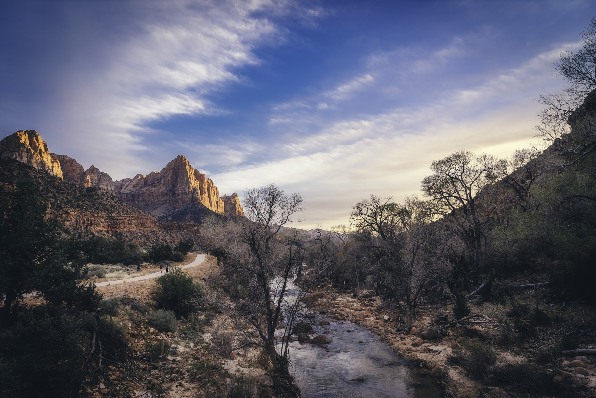 Sony a7R + Sony Vario Tessar T* FE 24-70mm F4 ZA OSS sample photo. Zion national park xix photography