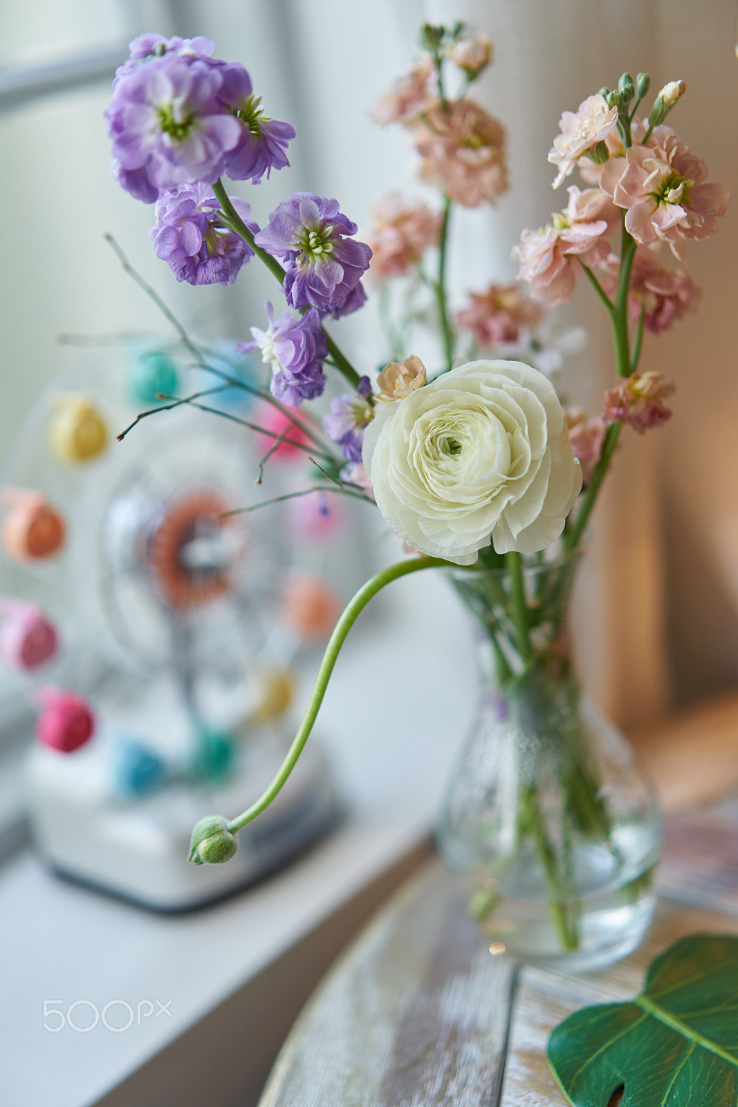 Sony Sonnar T* FE 55mm F1.8 ZA sample photo. Florescence photography