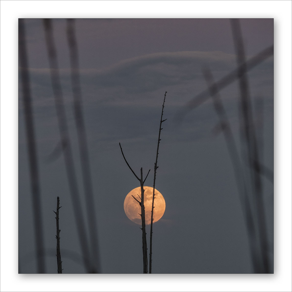 Panasonic Lumix G Vario 45-200mm F4-5.6 OIS sample photo. Olympus digital camera photography