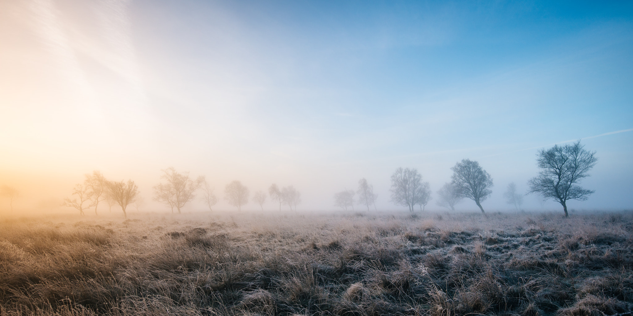 Canon EF 16-35mm F4L IS USM sample photo. Winter morning photography