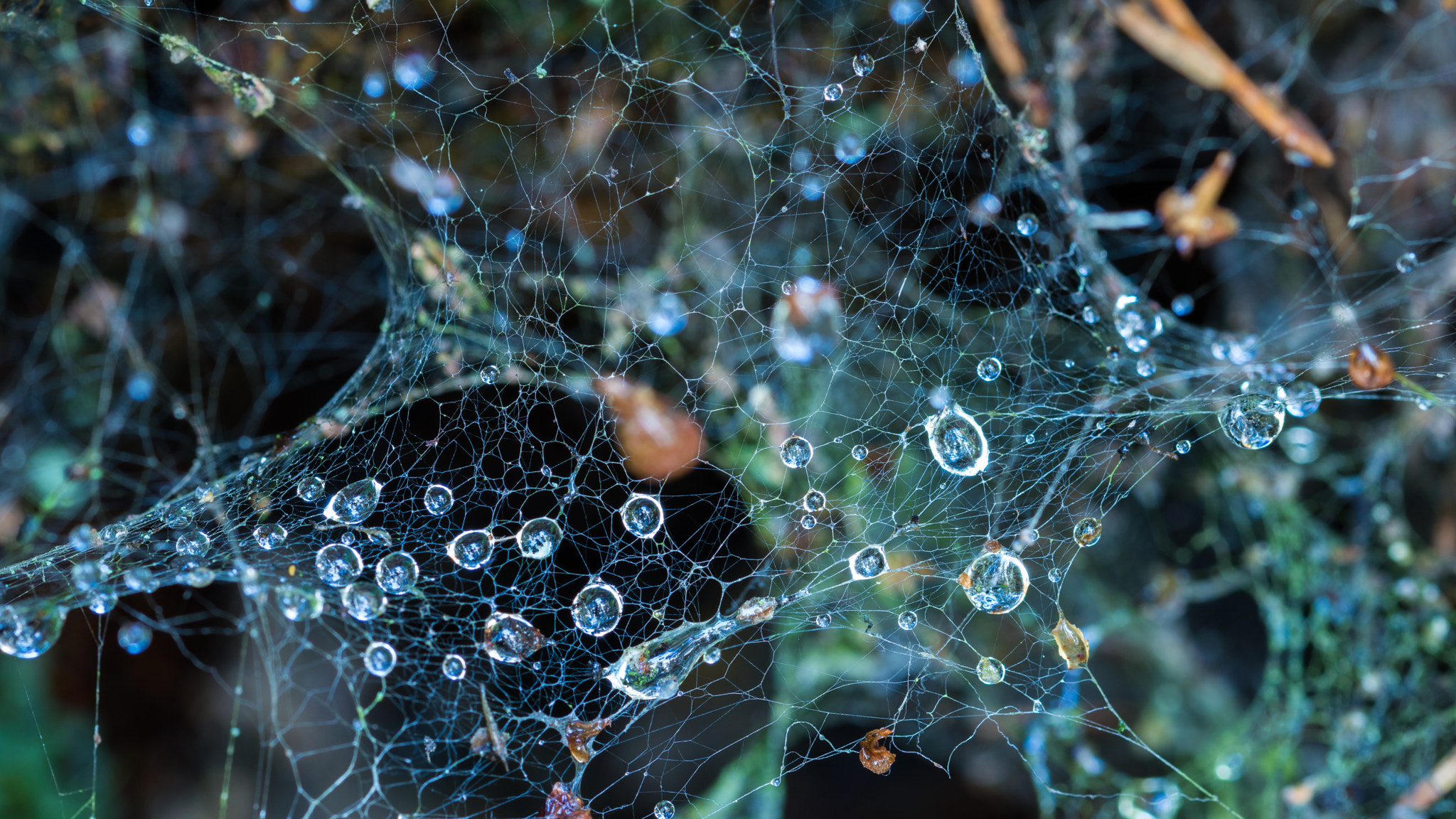 Sigma 105mm F2.8 EX DG OS HSM sample photo. Planetarium photography