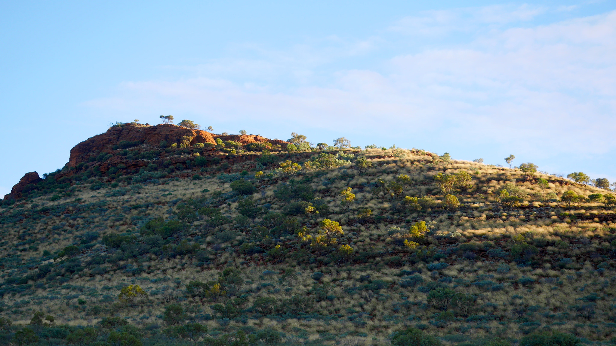 Panasonic Lumix DMC-GX7 sample photo. Outbackgreens photography