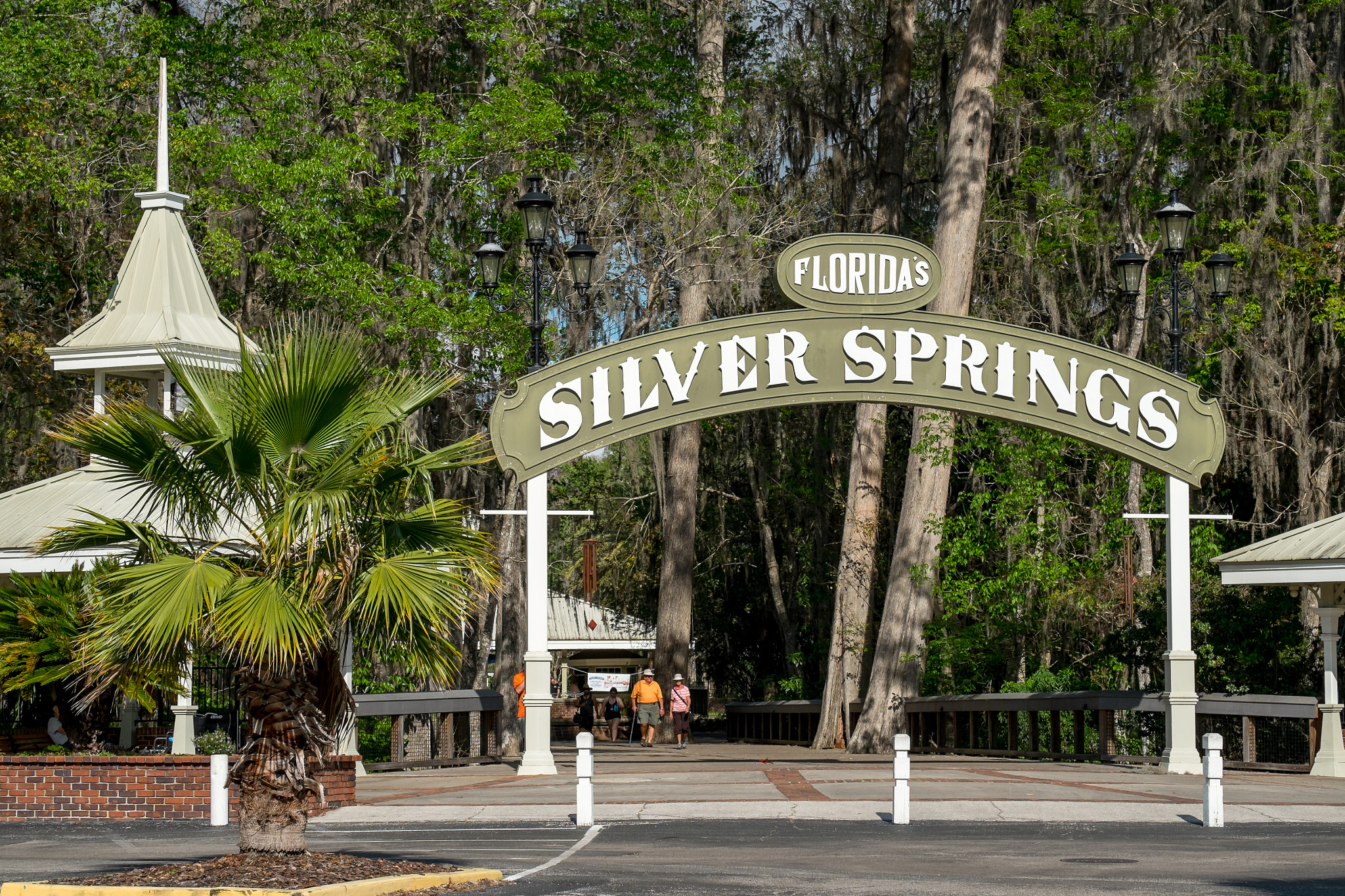 Fujifilm X-E1 + Fujifilm XF 55-200mm F3.5-4.8 R LM OIS sample photo. Silver springs florida photography