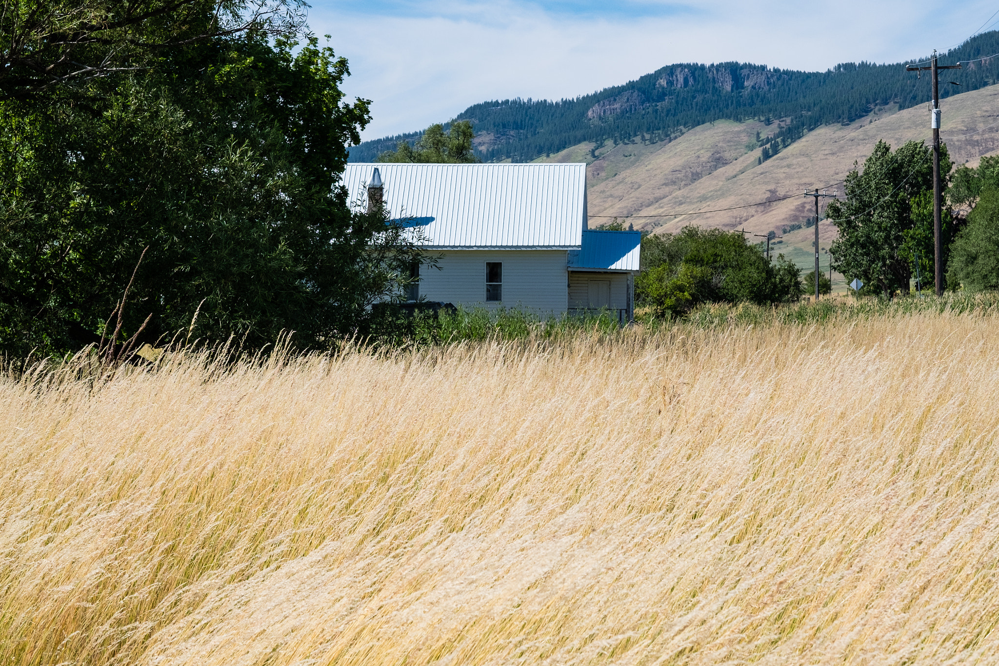 Fujifilm XF 56mm F1.2 R sample photo. Farmhouse photography