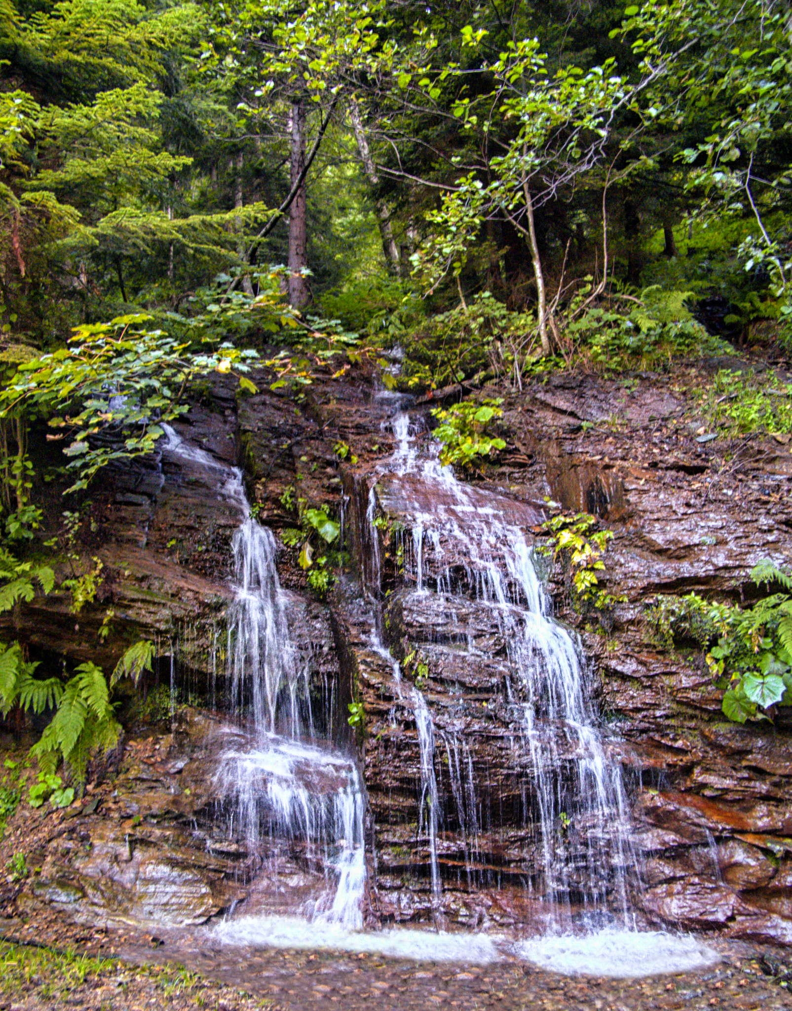 Kodak EASYSHARE Z1015 IS DIGITAL CAMERA sample photo. Mini waterfall photography