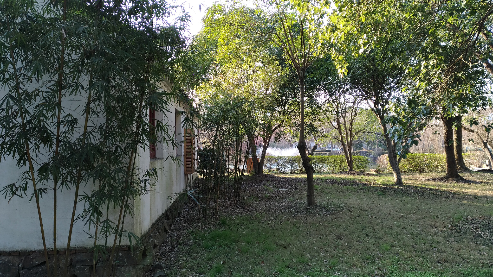 ASUS ZenFone 3 (ZE552KL) sample photo. A cottage in a forest photography