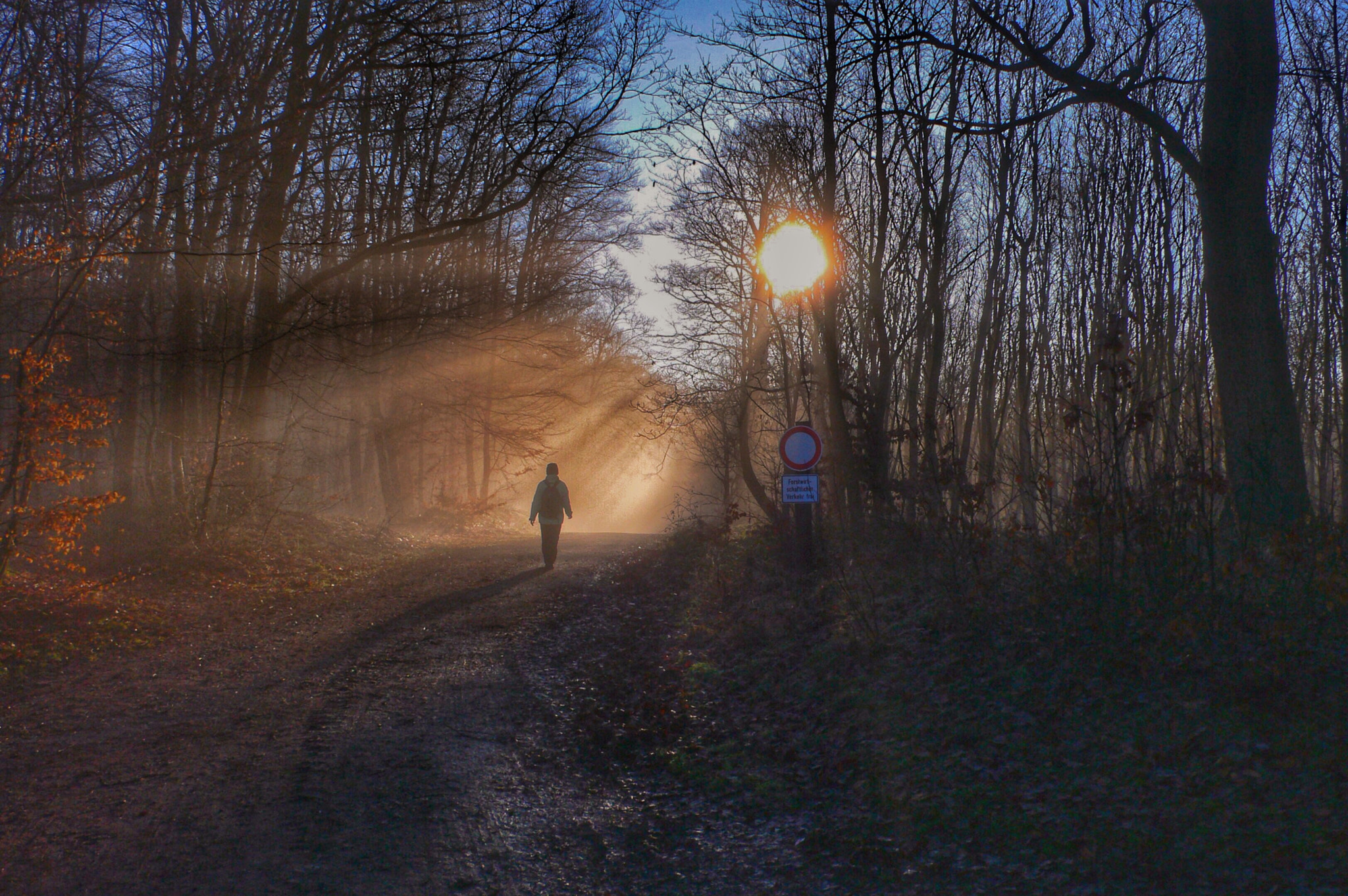 Panasonic DMC-LX1 sample photo. Der wintersonne entgegen ... photography