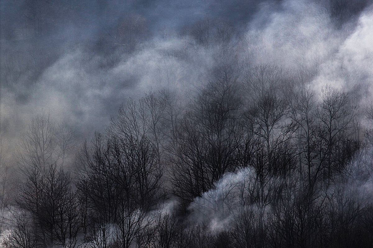 Canon EF-S 55-250mm F4-5.6 IS STM sample photo. Spring fires photography