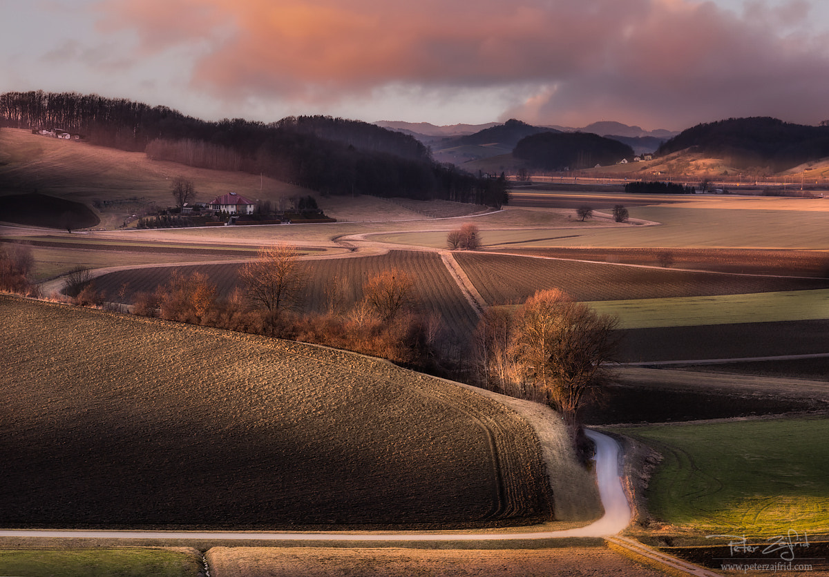 Nikon D810 sample photo. Evening light photography