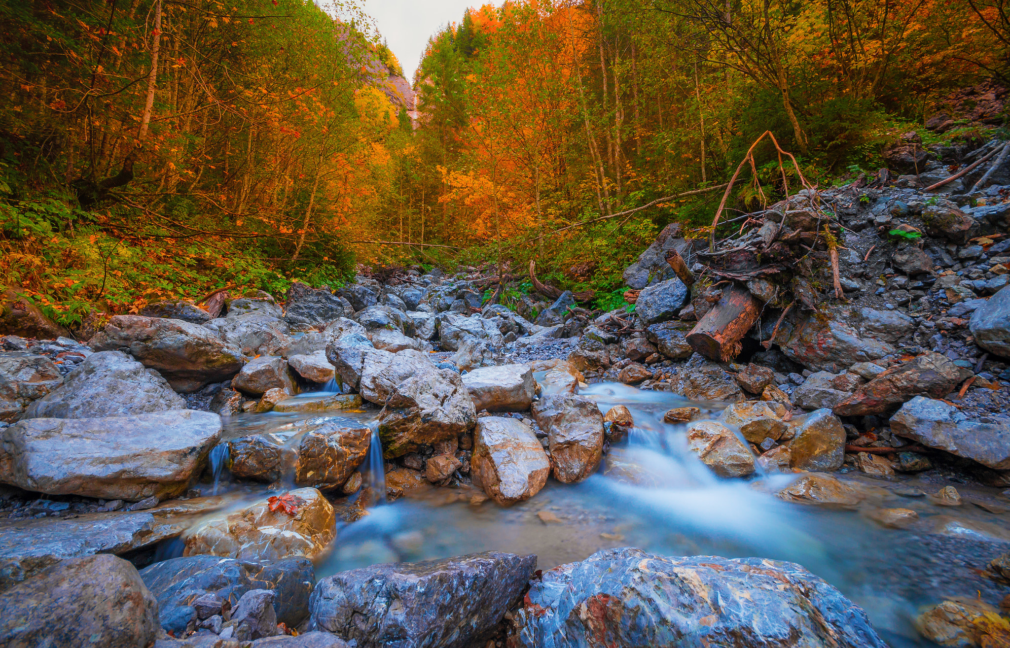 Sigma AF 10-20mm F4-5.6 EX DC sample photo. Allgäu photography