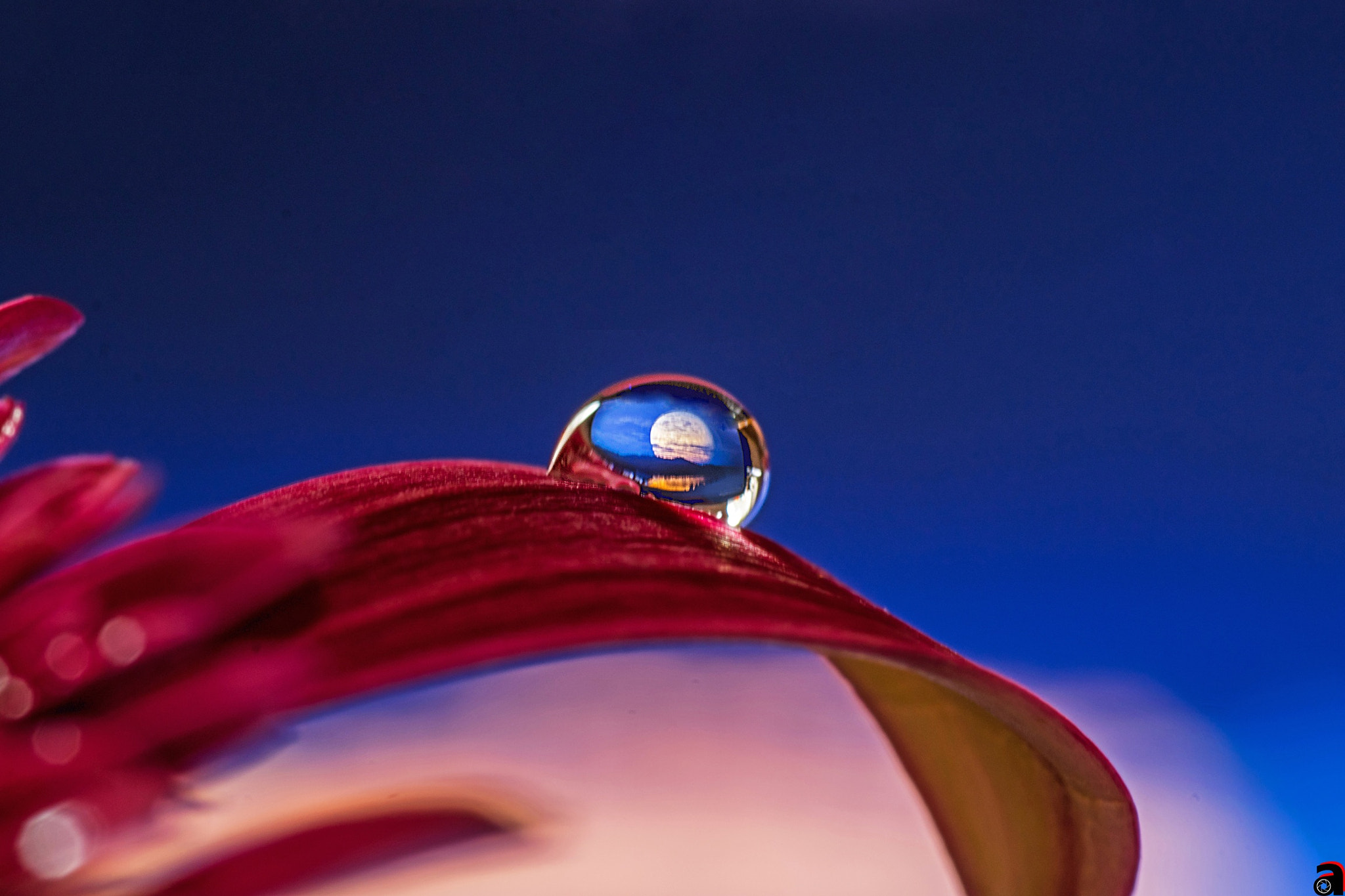 Nikon D3300 + Sigma 105mm F2.8 EX DG OS HSM sample photo. The reflection of the moon on the water drop photography