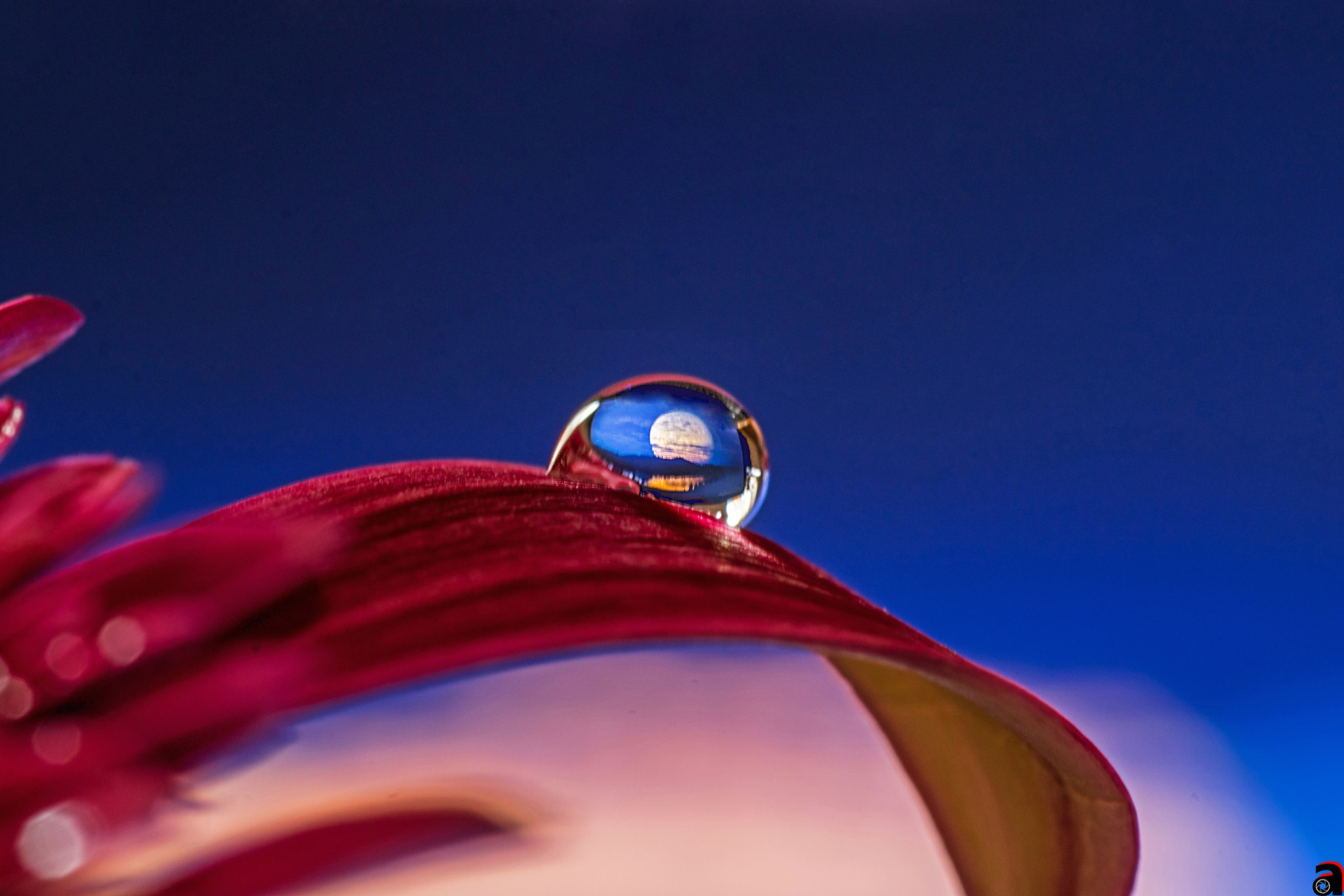 Sigma 105mm F2.8 EX DG OS HSM sample photo. The reflection of the moon on the water drop photography