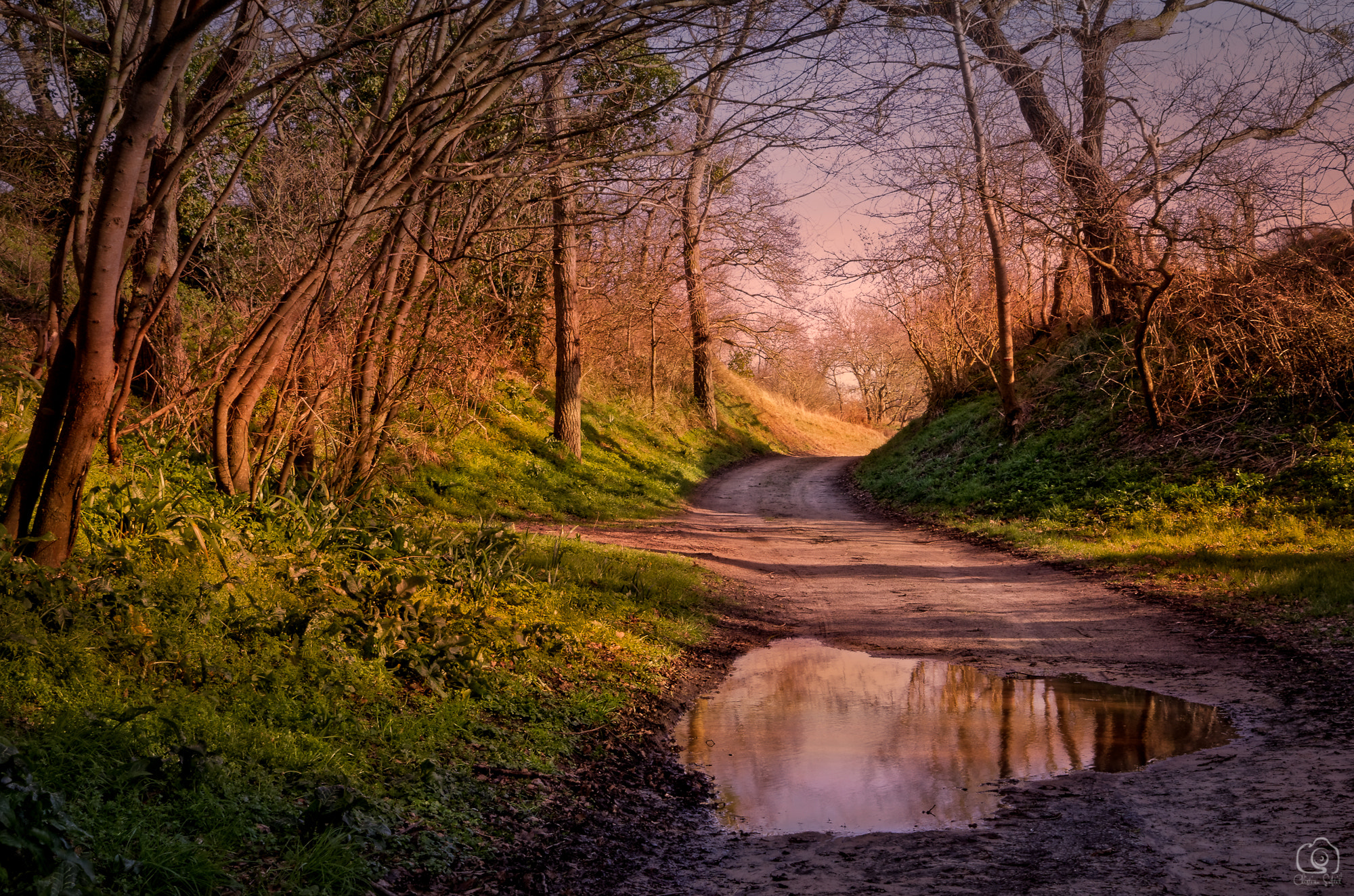 Canon EOS 70D + Sigma 24-70mm F2.8 EX DG Macro sample photo. " i'm afraid we are,you would say,at a crossroad " photography