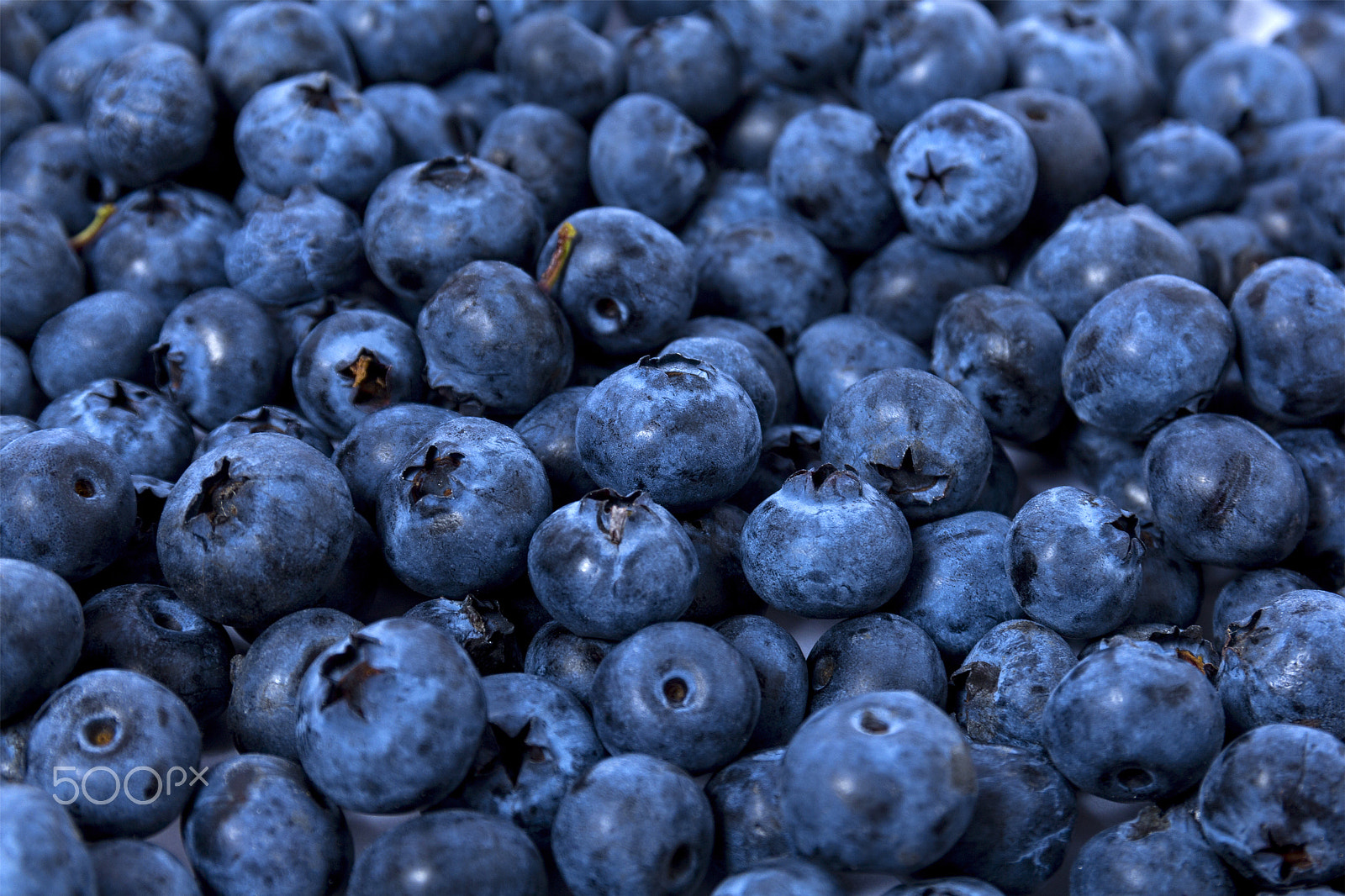 Canon EOS 60D sample photo. Blueberry closeup texture photography